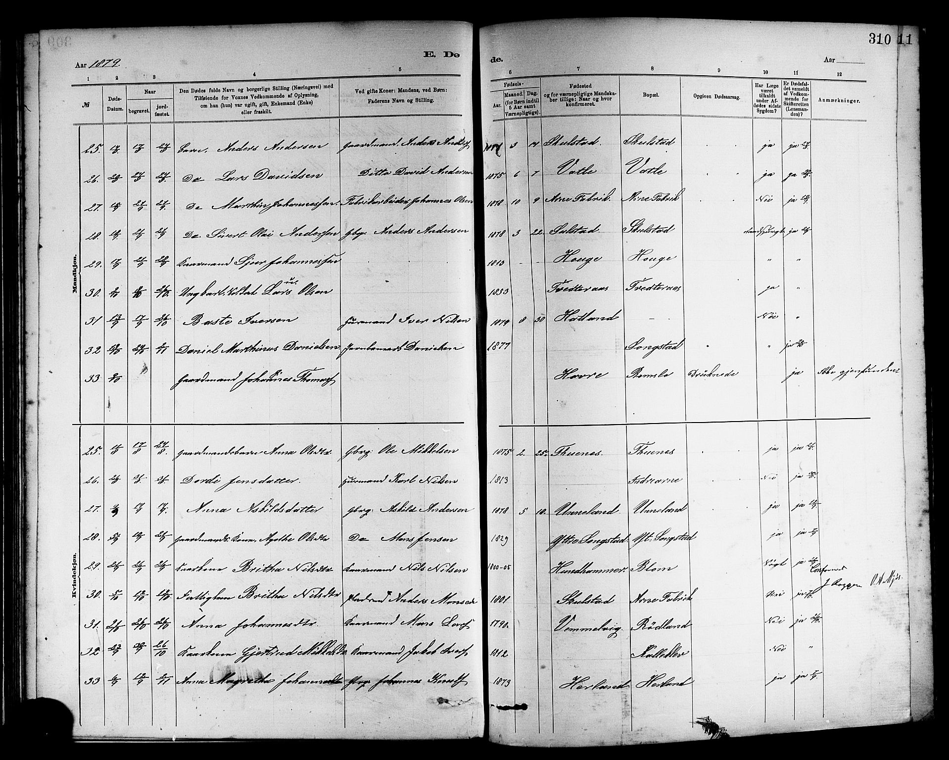 Haus sokneprestembete, AV/SAB-A-75601/H/Haa: Ministerialbok nr. A 19II, 1878-1886, s. 310