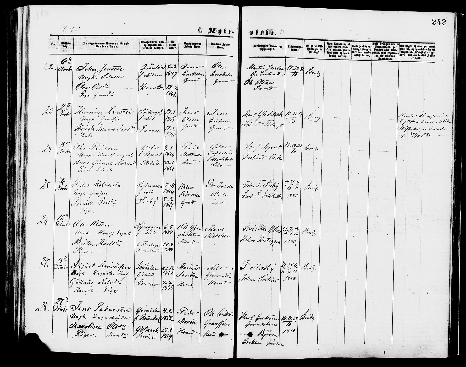 Trysil prestekontor, AV/SAH-PREST-046/H/Ha/Haa/L0007: Ministerialbok nr. 7, 1874-1880, s. 242