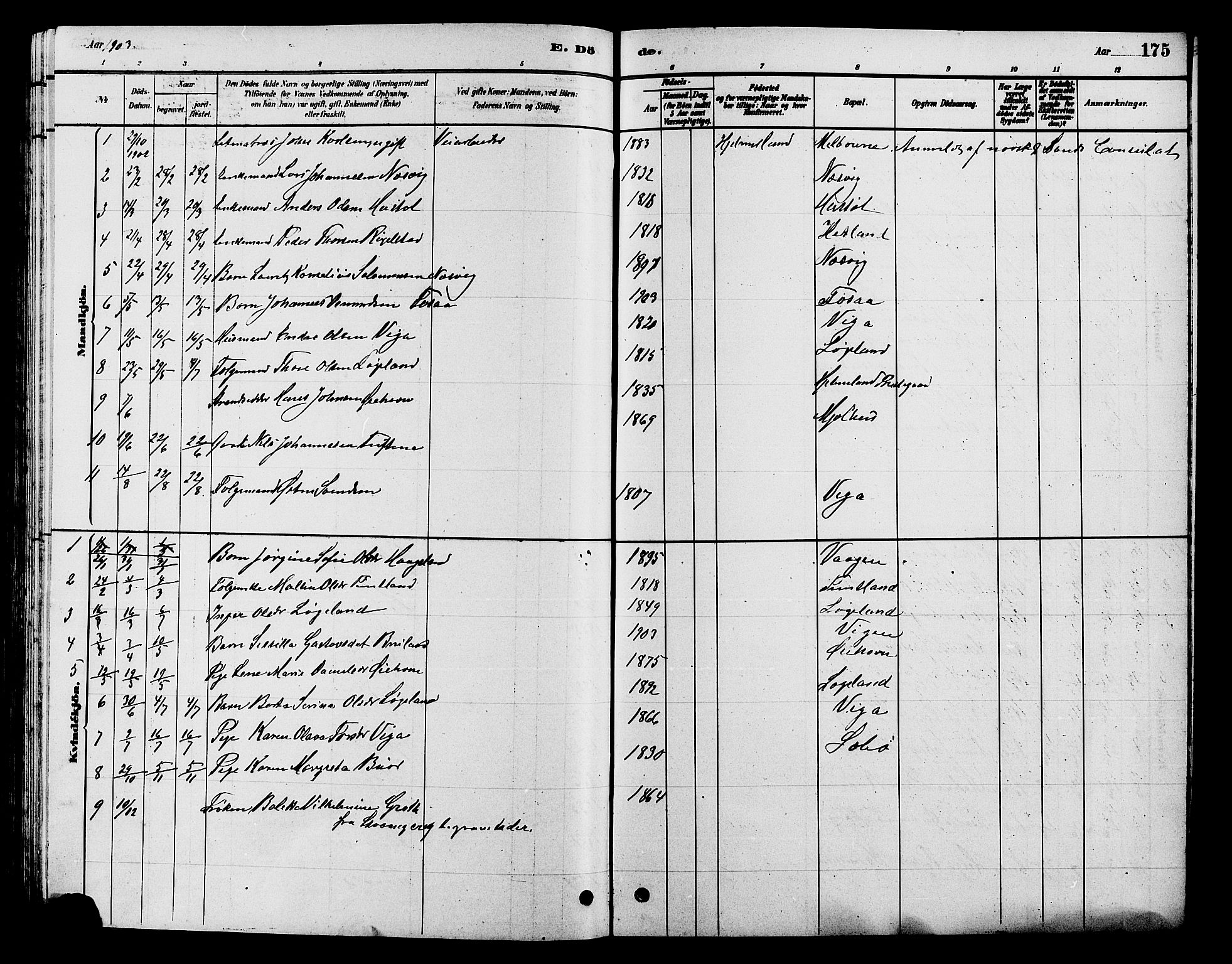 Hjelmeland sokneprestkontor, SAST/A-101843/01/V/L0007: Klokkerbok nr. B 7, 1880-1909, s. 175