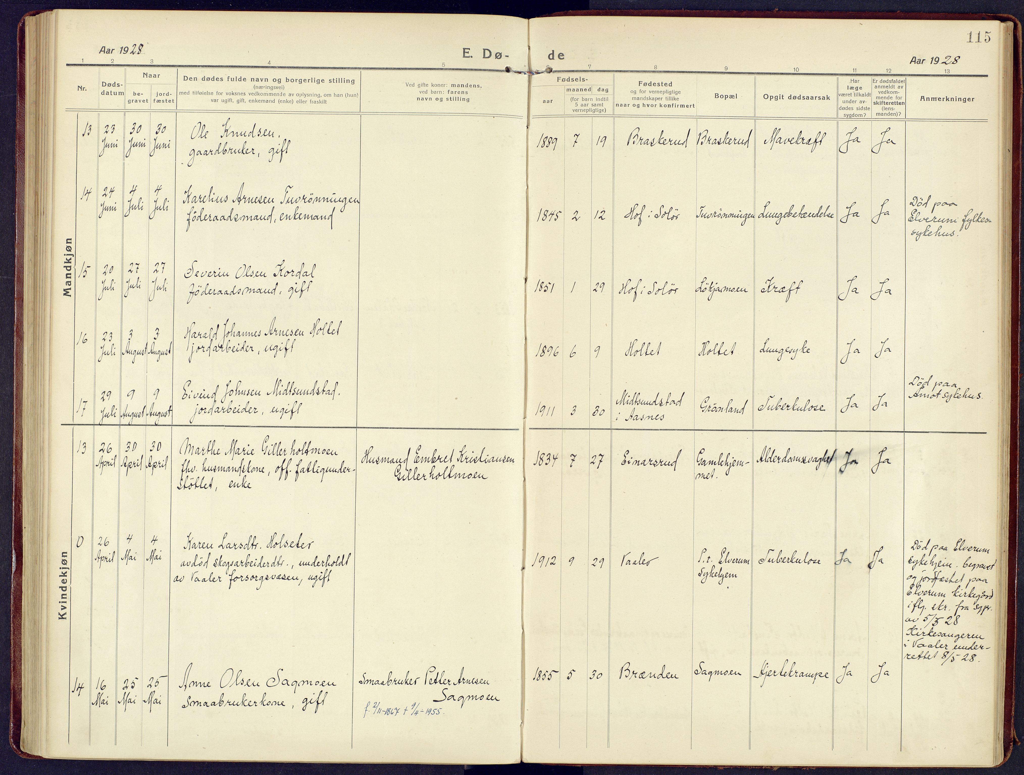 Våler prestekontor, Hedmark, AV/SAH-PREST-040/H/Ha/Haa/L0011: Ministerialbok nr. 11, 1919-1933, s. 115