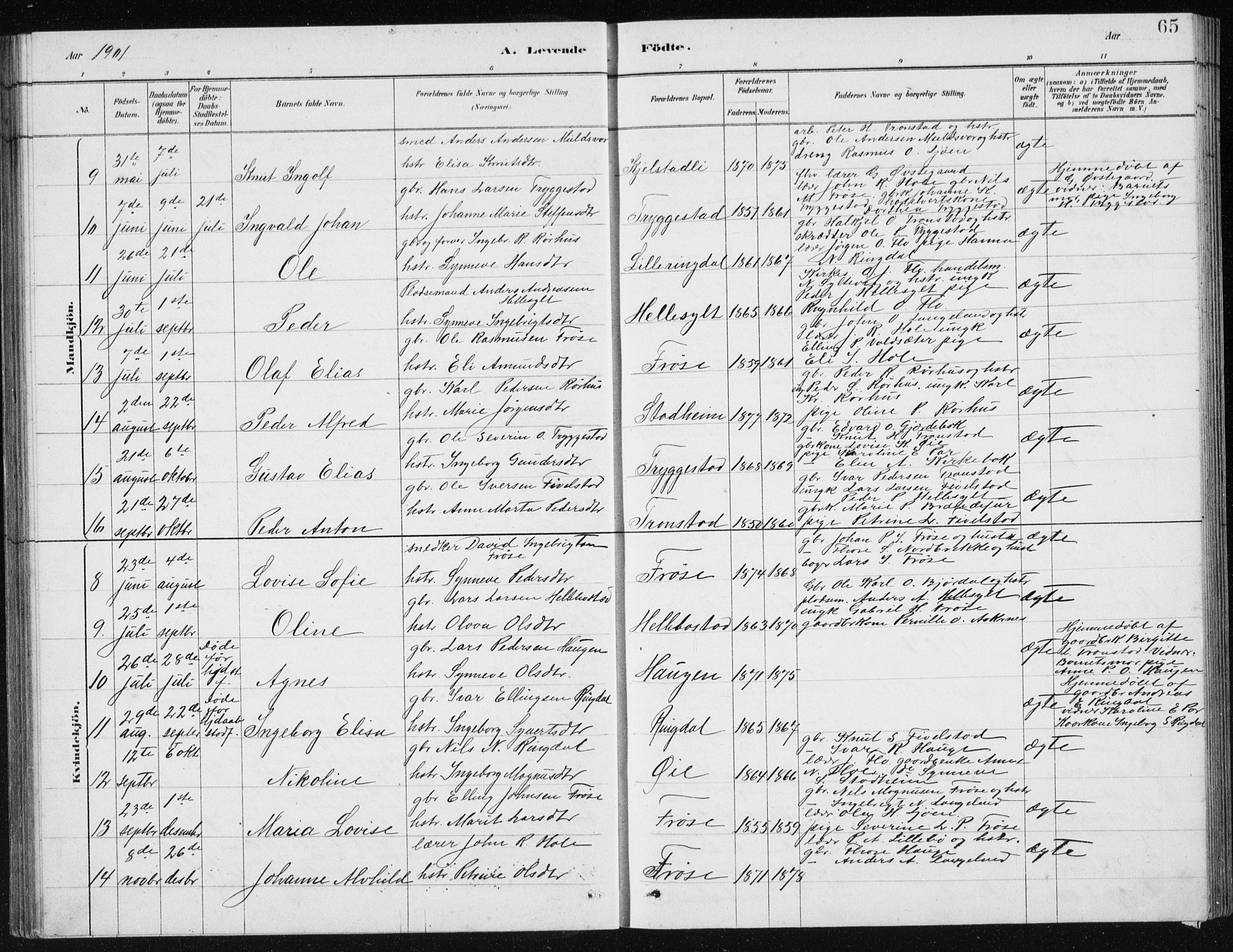 Ministerialprotokoller, klokkerbøker og fødselsregistre - Møre og Romsdal, AV/SAT-A-1454/517/L0230: Klokkerbok nr. 517C03, 1879-1912, s. 65