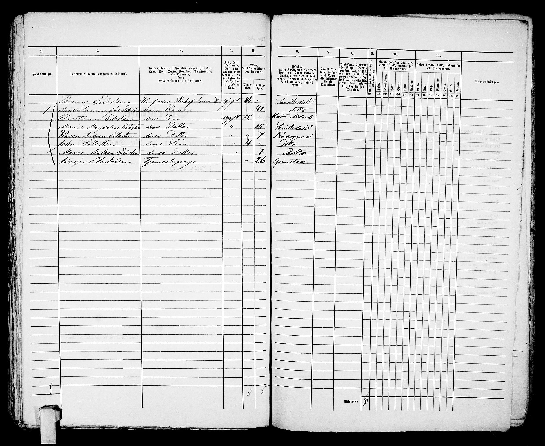 RA, Folketelling 1865 for 0801B Kragerø prestegjeld, Kragerø kjøpstad, 1865, s. 1105