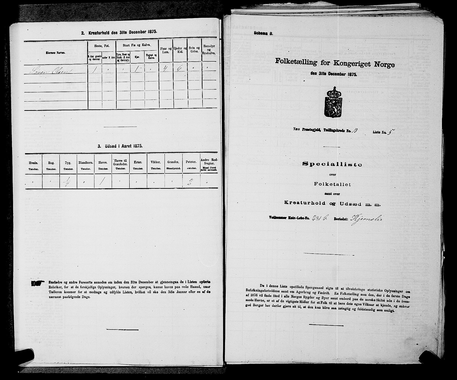 RA, Folketelling 1875 for 0236P Nes prestegjeld, 1875, s. 2288