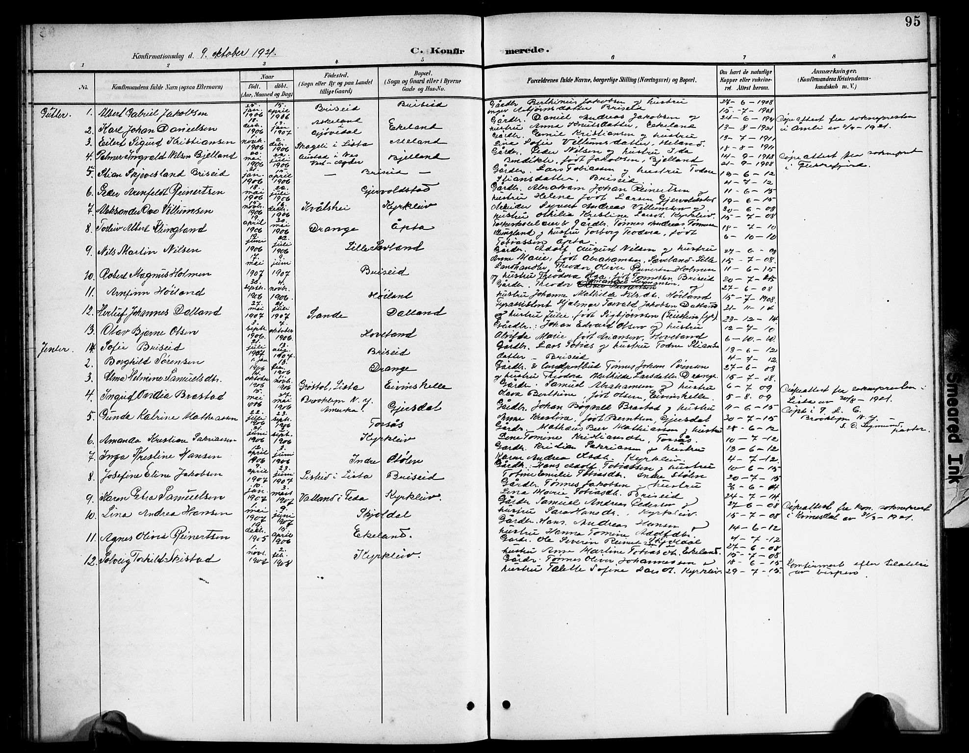 Herad sokneprestkontor, AV/SAK-1111-0018/F/Fb/Fba/L0005: Klokkerbok nr. B 5, 1899-1921, s. 95