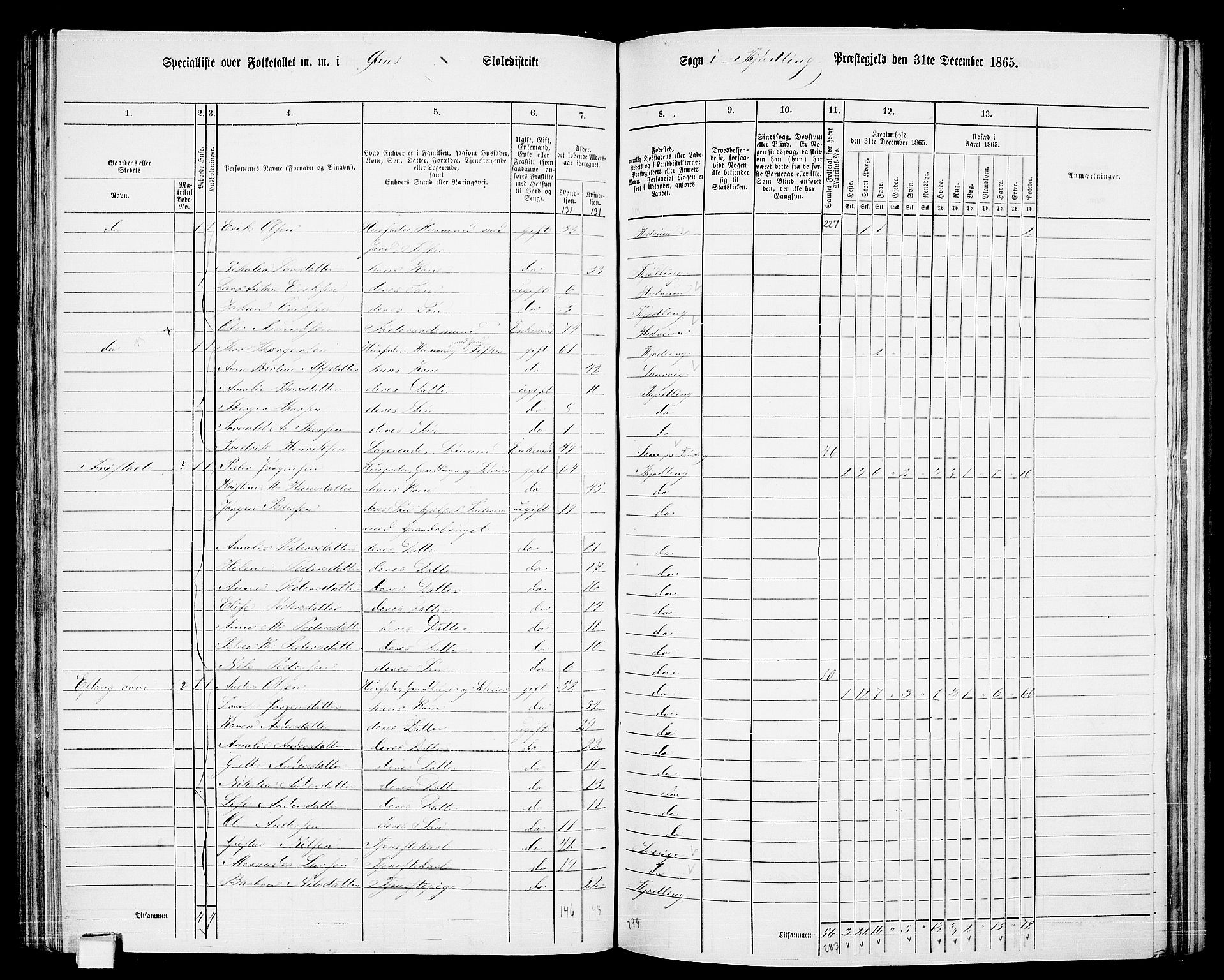 RA, Folketelling 1865 for 0725P Tjølling prestegjeld, 1865, s. 131