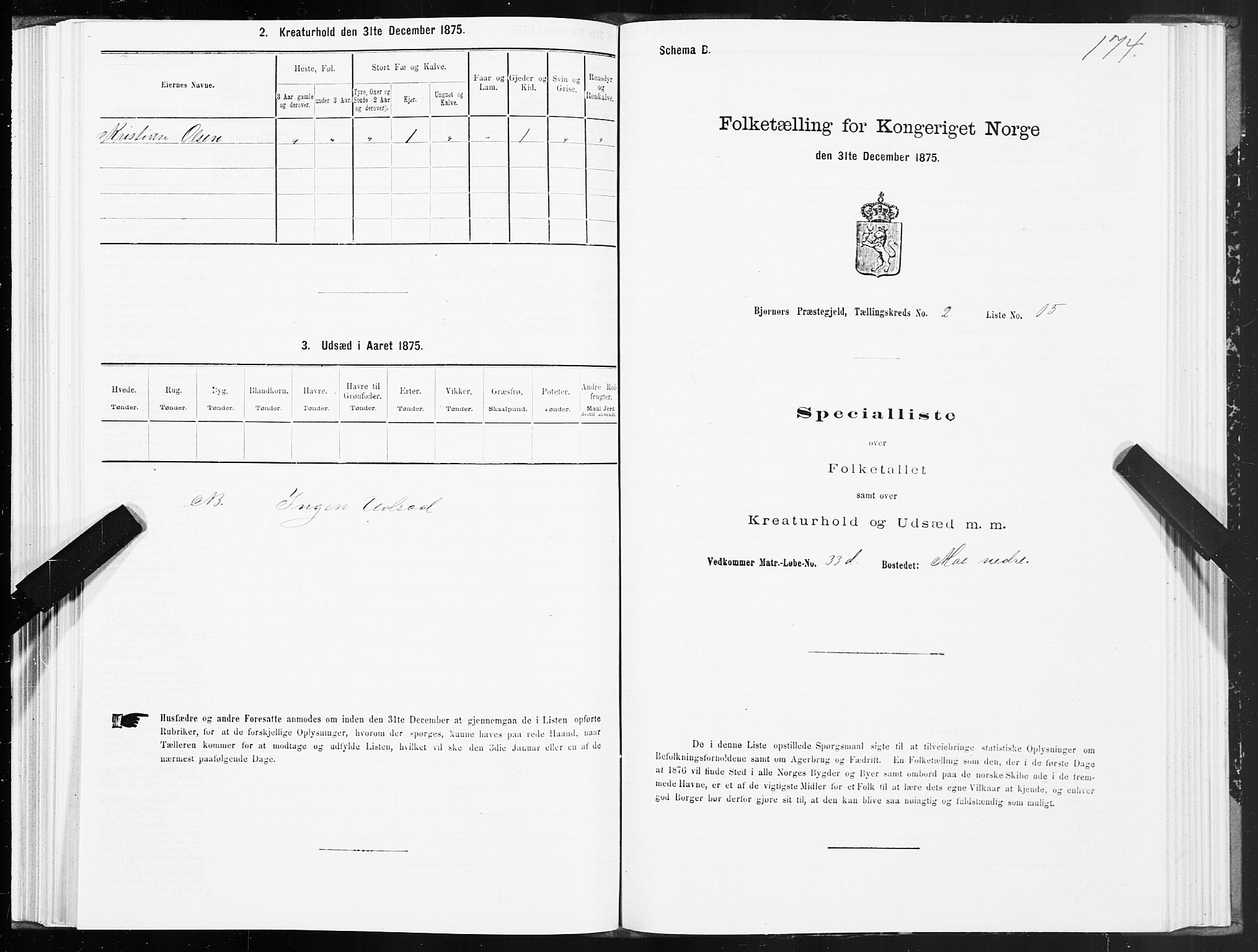 SAT, Folketelling 1875 for 1632P Bjørnør prestegjeld, 1875, s. 1174