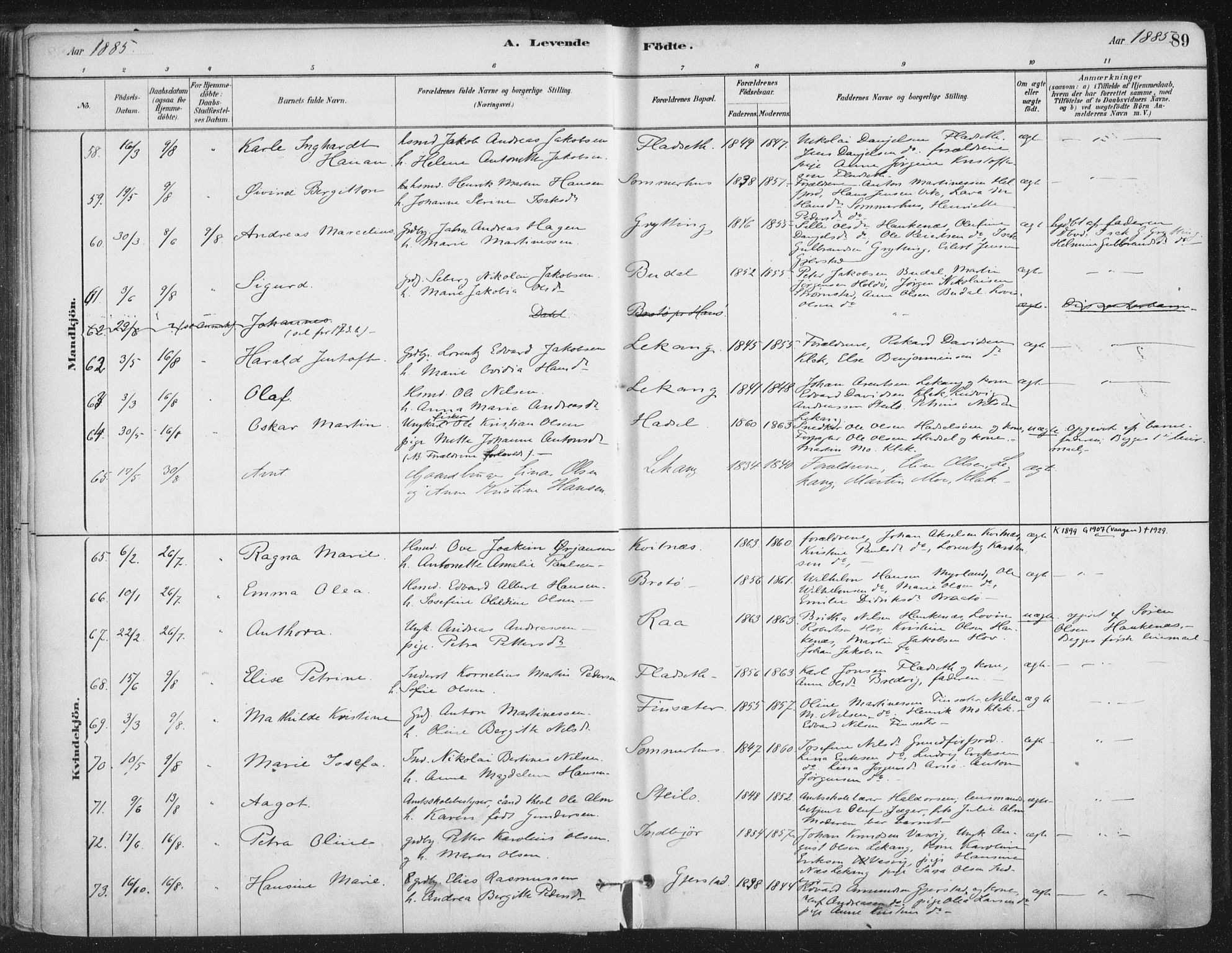 Ministerialprotokoller, klokkerbøker og fødselsregistre - Nordland, SAT/A-1459/888/L1244: Ministerialbok nr. 888A10, 1880-1890, s. 89