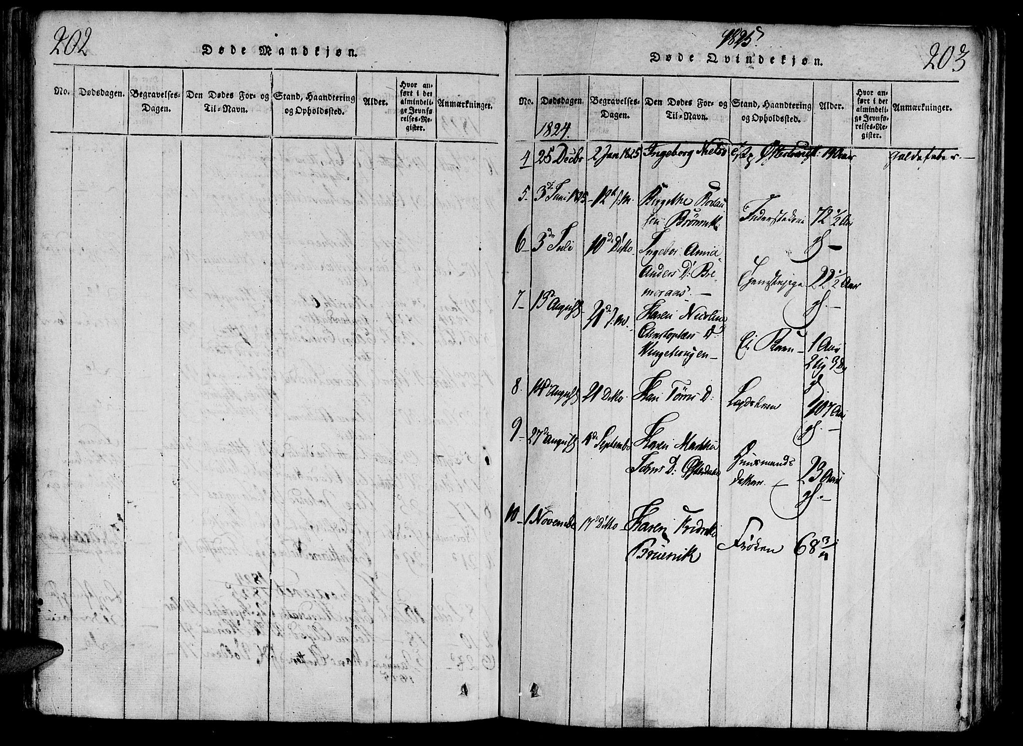 Ministerialprotokoller, klokkerbøker og fødselsregistre - Nord-Trøndelag, SAT/A-1458/701/L0005: Ministerialbok nr. 701A05 /1, 1816-1825, s. 202-203