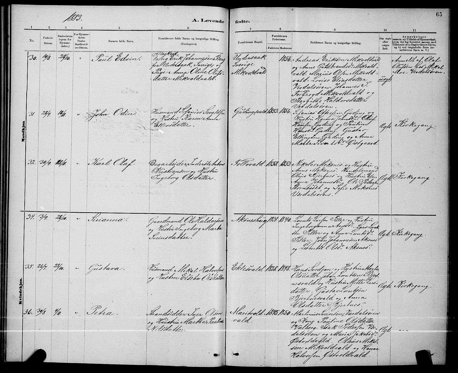 Ministerialprotokoller, klokkerbøker og fødselsregistre - Nord-Trøndelag, SAT/A-1458/723/L0256: Klokkerbok nr. 723C04, 1879-1890, s. 65