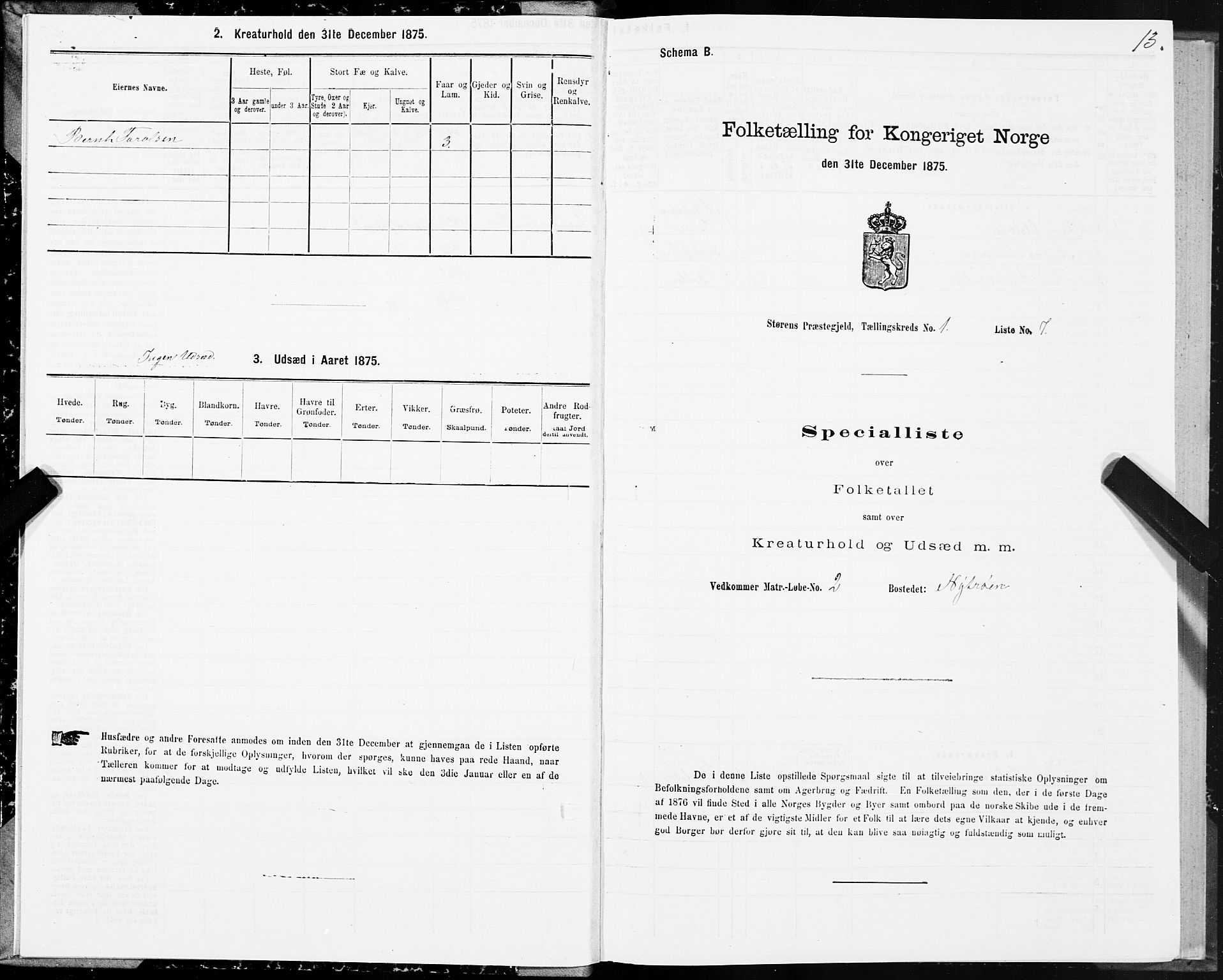 SAT, Folketelling 1875 for 1648P Støren prestegjeld, 1875, s. 7013