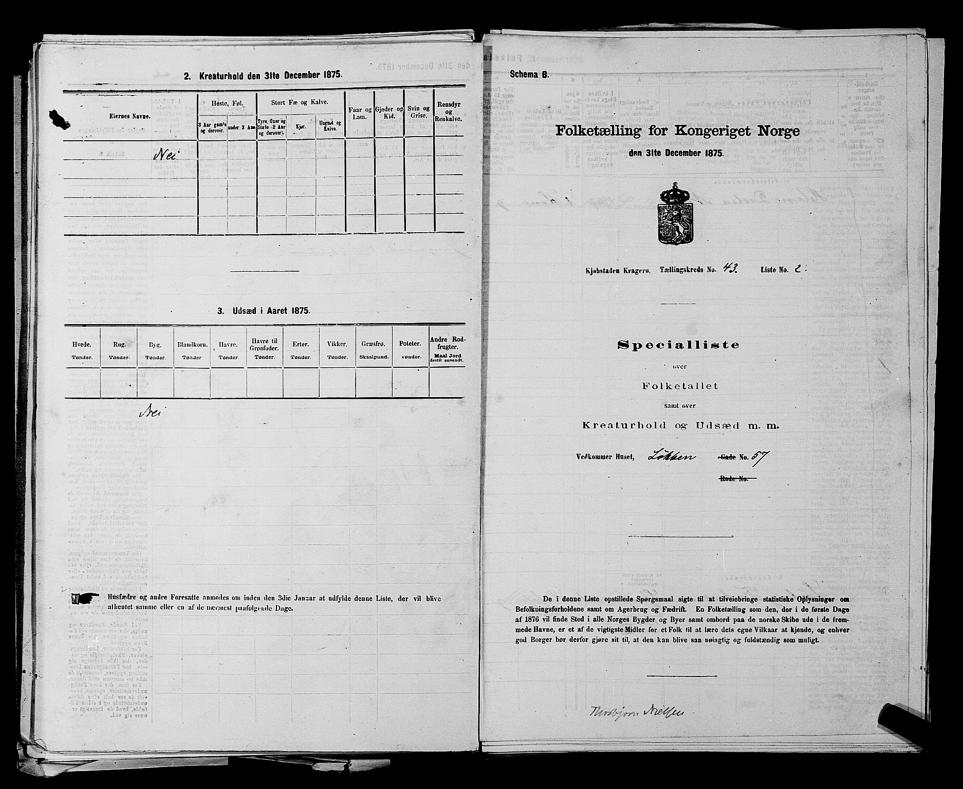 SAKO, Folketelling 1875 for 0801P Kragerø prestegjeld, 1875, s. 943