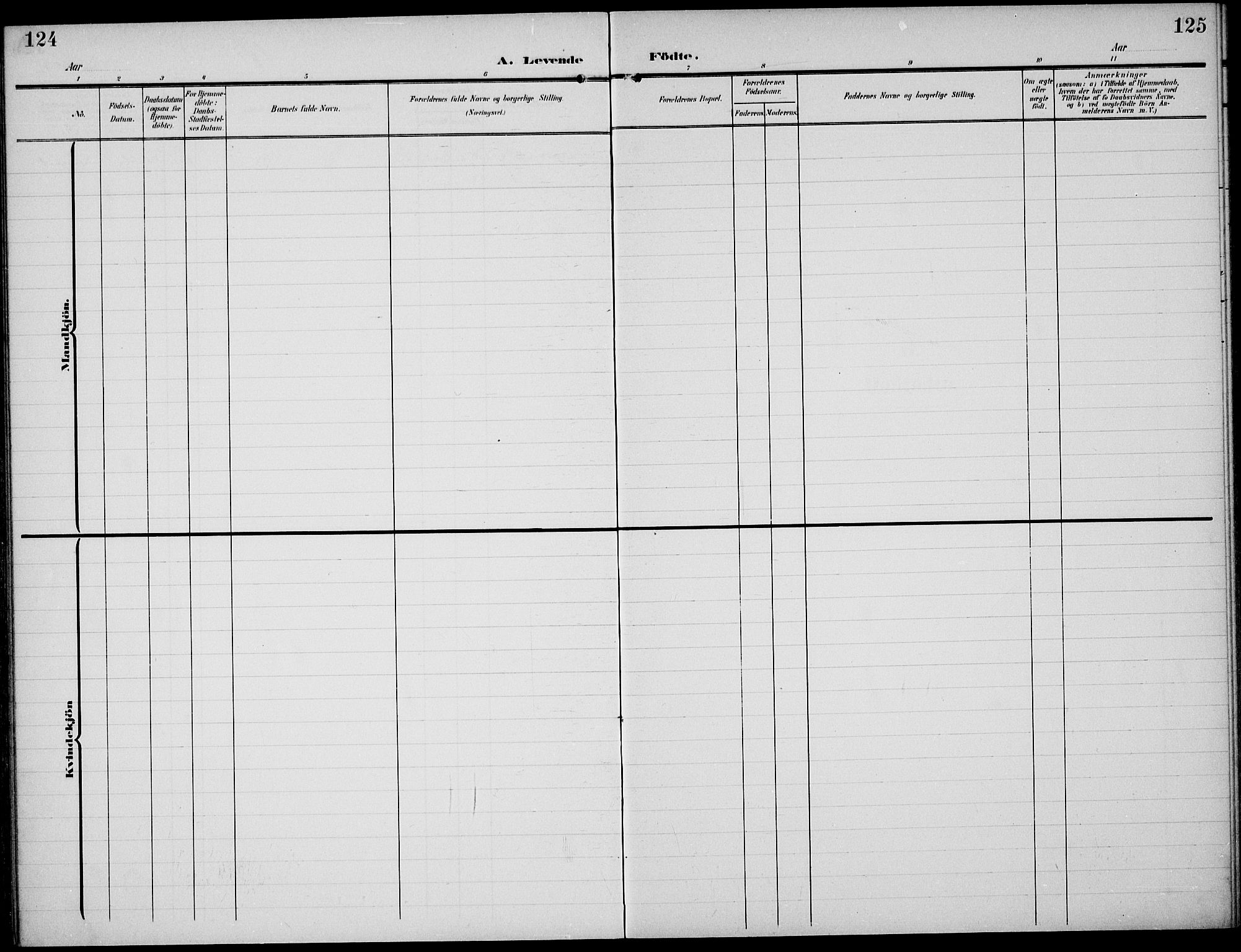 Sem kirkebøker, AV/SAKO-A-5/F/Fa/L0012: Ministerialbok nr. I 12, 1905-1915, s. 124-125