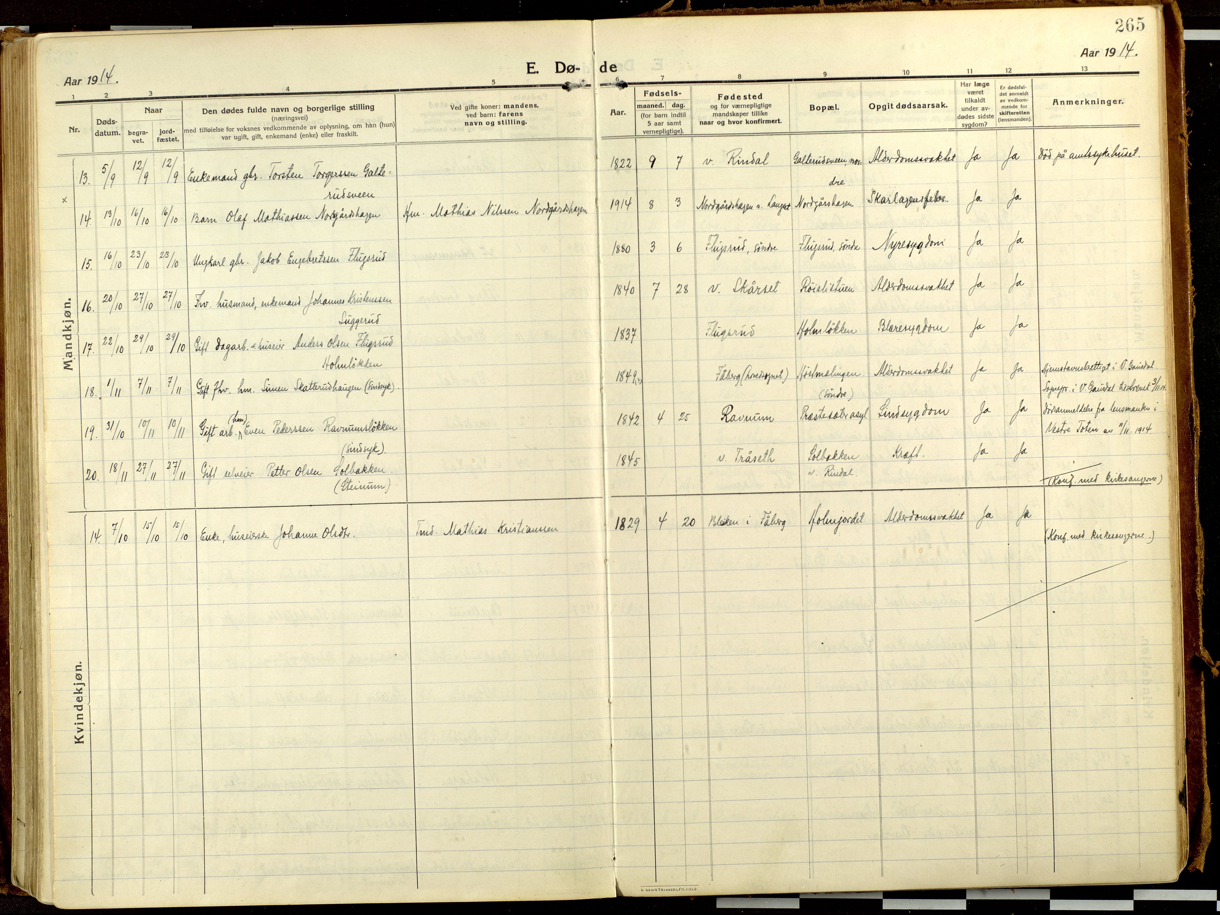 Fåberg prestekontor, AV/SAH-PREST-086/H/Ha/Haa/L0013: Ministerialbok nr. 13, 1913-1928, s. 265