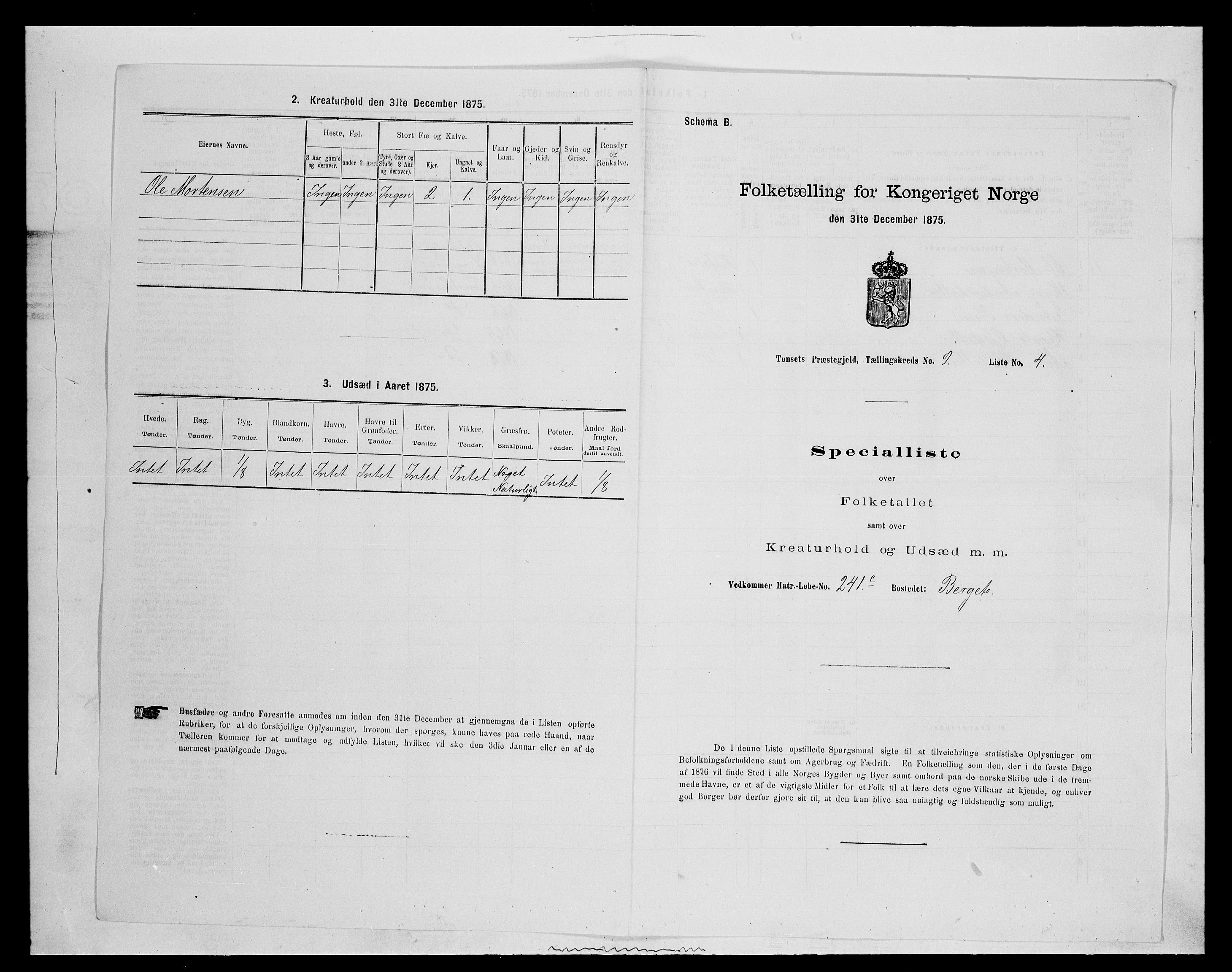 SAH, Folketelling 1875 for 0437P Tynset prestegjeld, 1875, s. 911