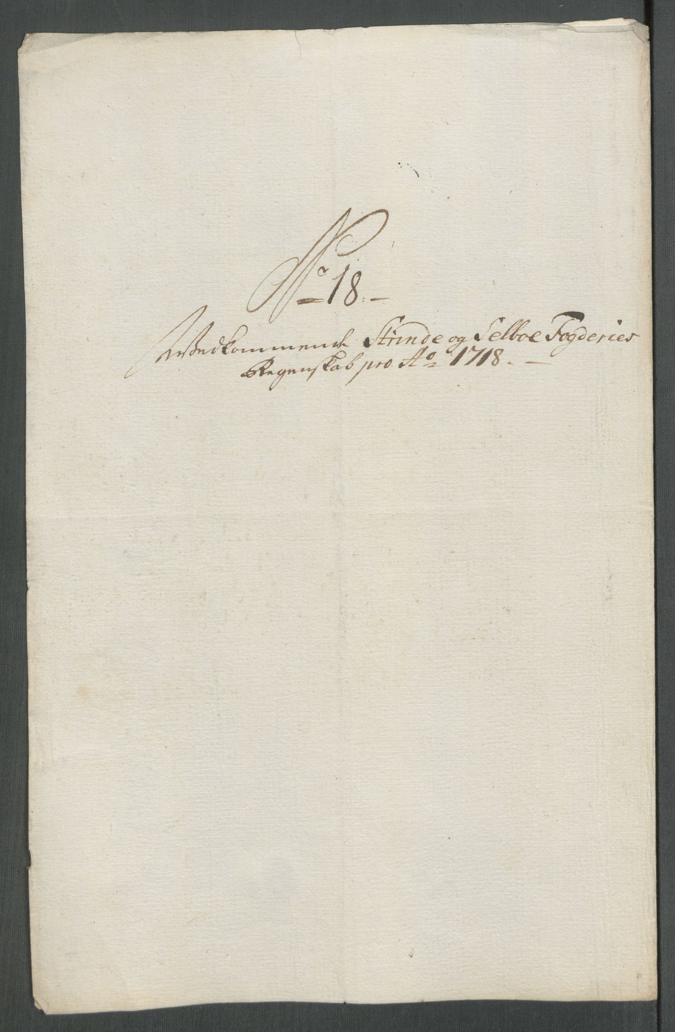 Rentekammeret inntil 1814, Reviderte regnskaper, Fogderegnskap, RA/EA-4092/R61/L4116: Fogderegnskap Strinda og Selbu, 1717-1718, s. 450