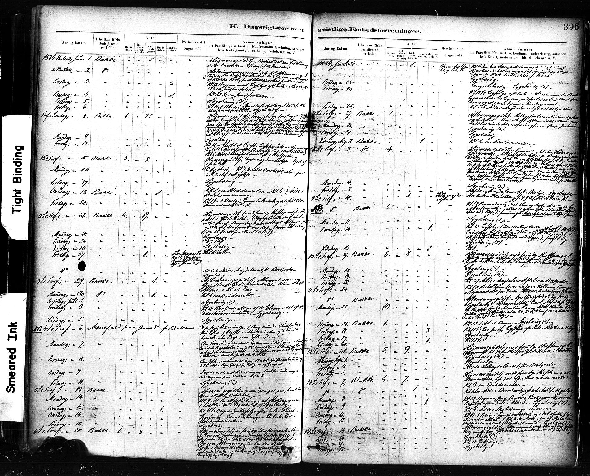 Ministerialprotokoller, klokkerbøker og fødselsregistre - Sør-Trøndelag, AV/SAT-A-1456/604/L0189: Ministerialbok nr. 604A10, 1878-1892, s. 396