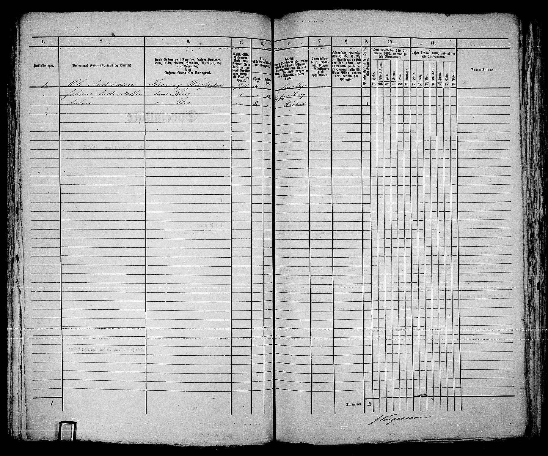 RA, Folketelling 1865 for 0203B Drøbak prestegjeld, Drøbak kjøpstad, 1865, s. 247