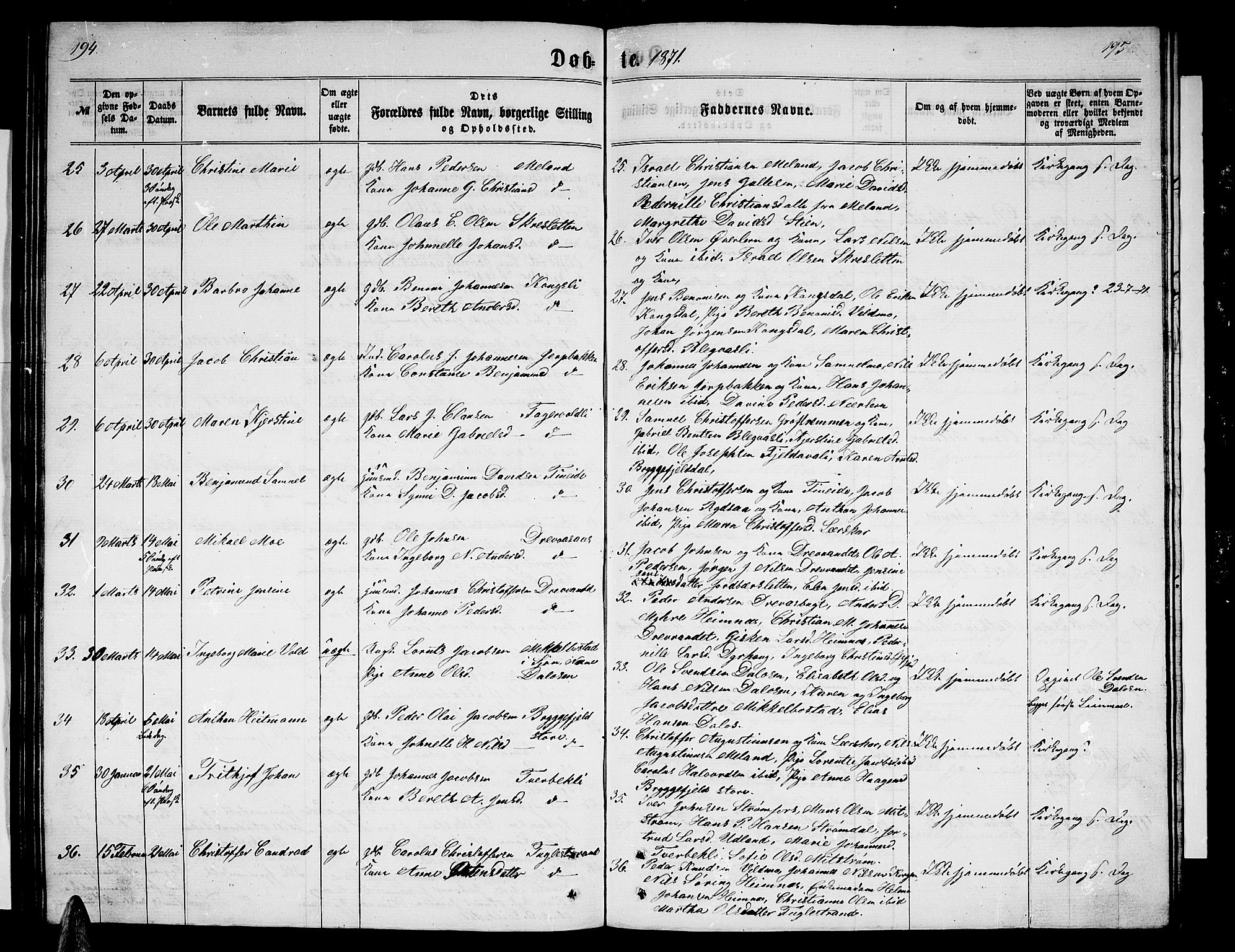 Ministerialprotokoller, klokkerbøker og fødselsregistre - Nordland, AV/SAT-A-1459/825/L0365: Klokkerbok nr. 825C02, 1858-1873, s. 194-195