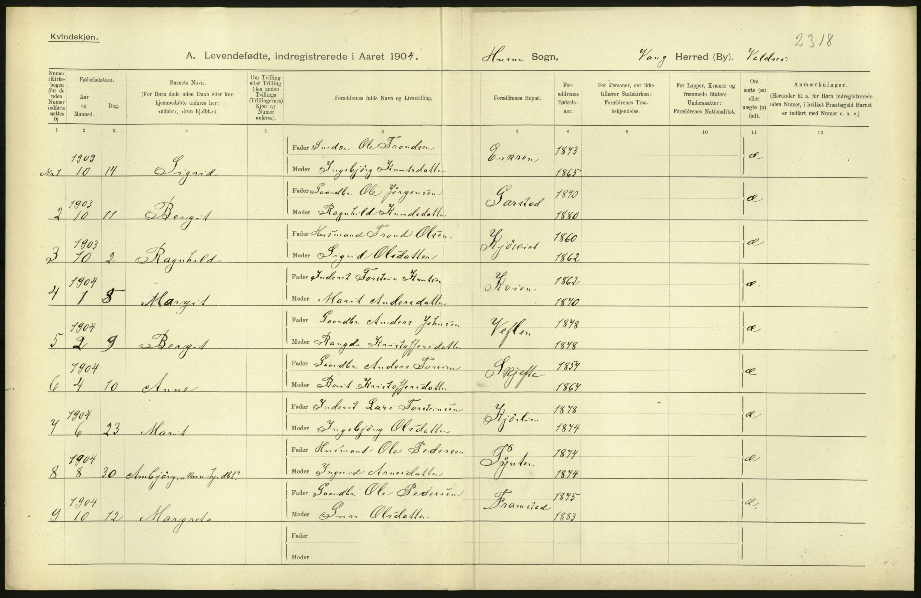 Statistisk sentralbyrå, Sosiodemografiske emner, Befolkning, AV/RA-S-2228/D/Df/Dfa/Dfab/L0006: Kristians amt: Fødte, gifte, døde, 1904, s. 432