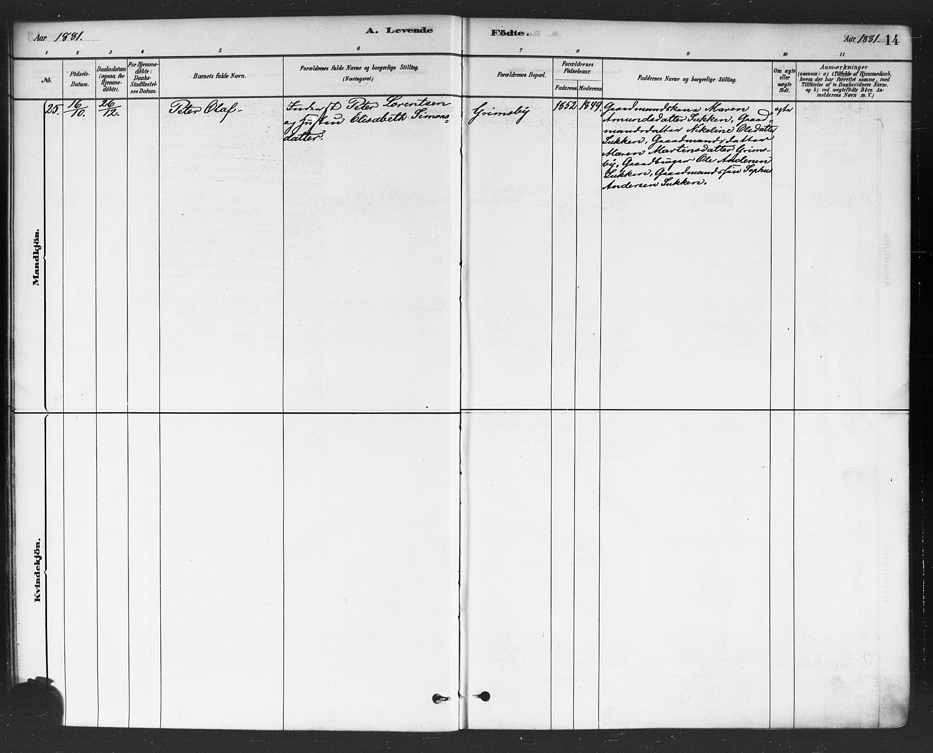 Rødenes prestekontor Kirkebøker, AV/SAO-A-2005/F/Fa/L0009: Ministerialbok nr. I 9, 1880-1889, s. 14