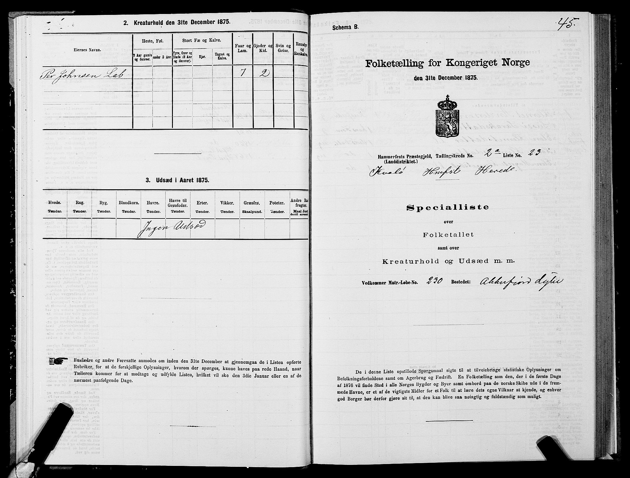 SATØ, Folketelling 1875 for 2016L Hammerfest prestegjeld, Hammerfest landsokn og Kvalsund sokn, 1875, s. 1045