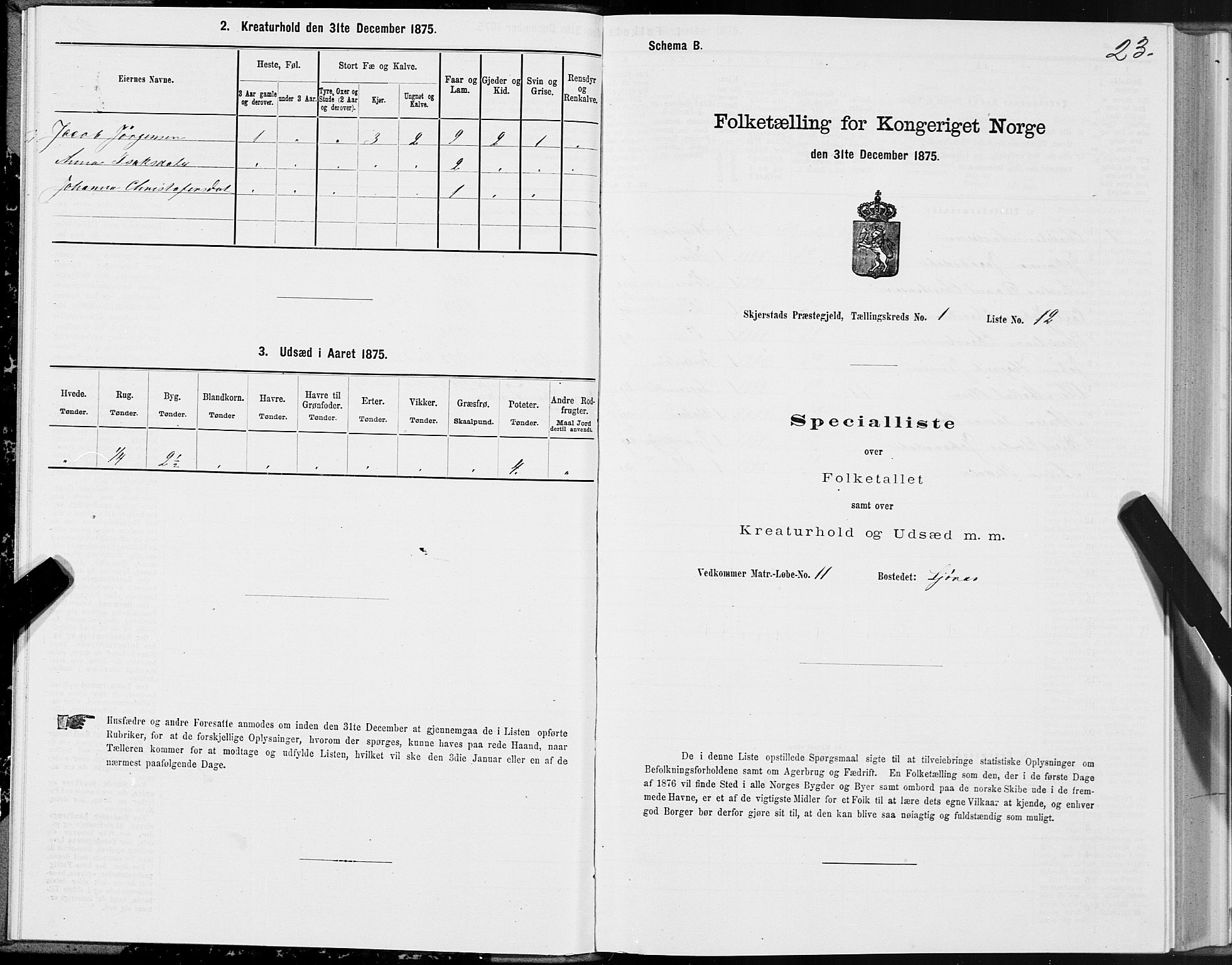 SAT, Folketelling 1875 for 1842P Skjerstad prestegjeld, 1875, s. 1023