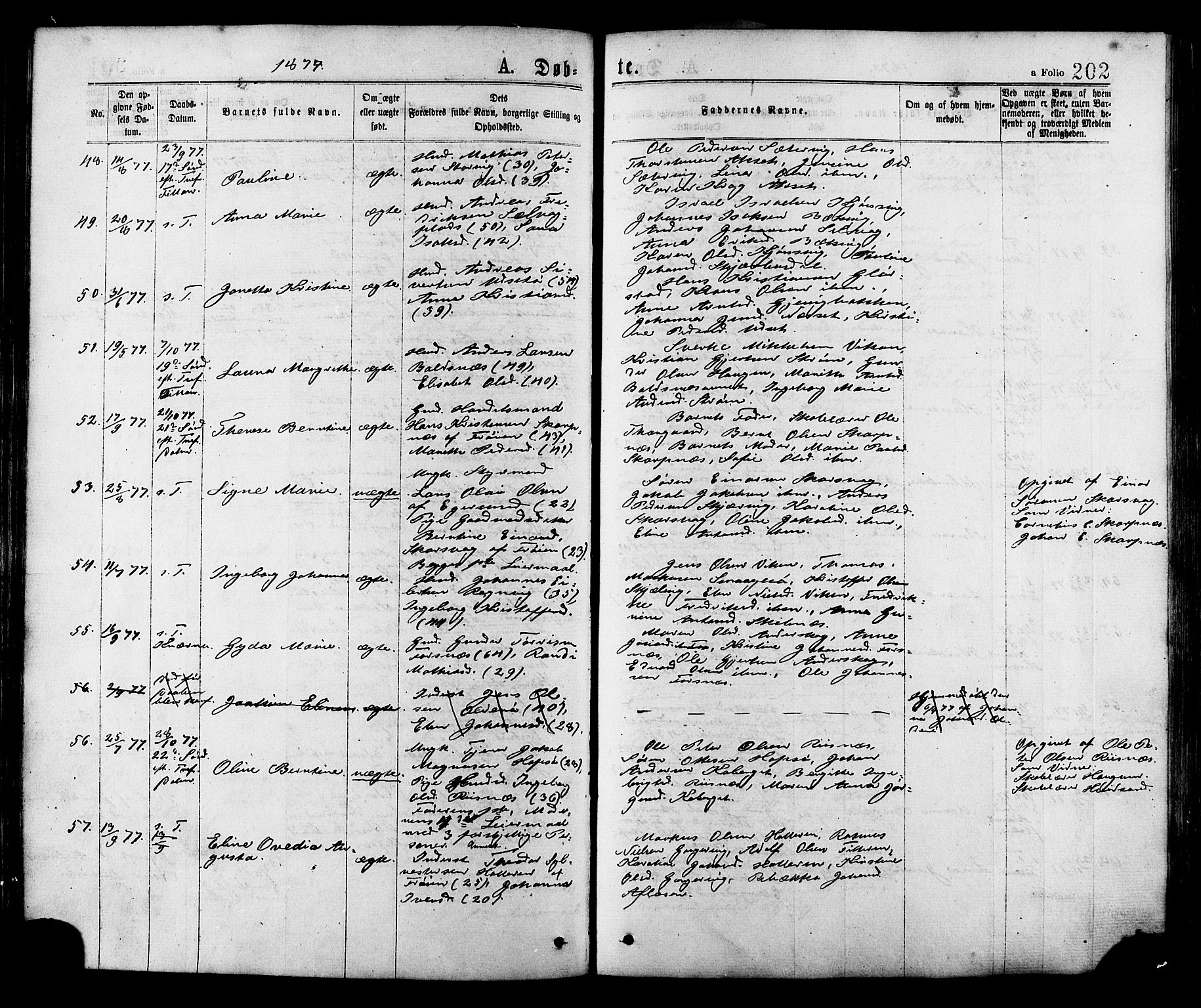 Ministerialprotokoller, klokkerbøker og fødselsregistre - Sør-Trøndelag, AV/SAT-A-1456/634/L0532: Ministerialbok nr. 634A08, 1871-1881, s. 202