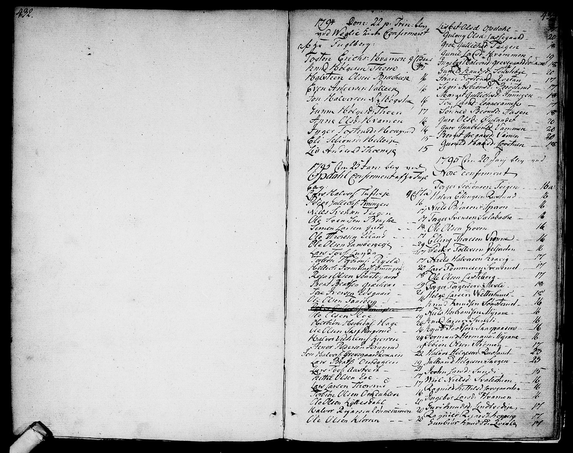 Rollag kirkebøker, SAKO/A-240/F/Fa/L0005: Ministerialbok nr. I 5, 1792-1814, s. 432-433