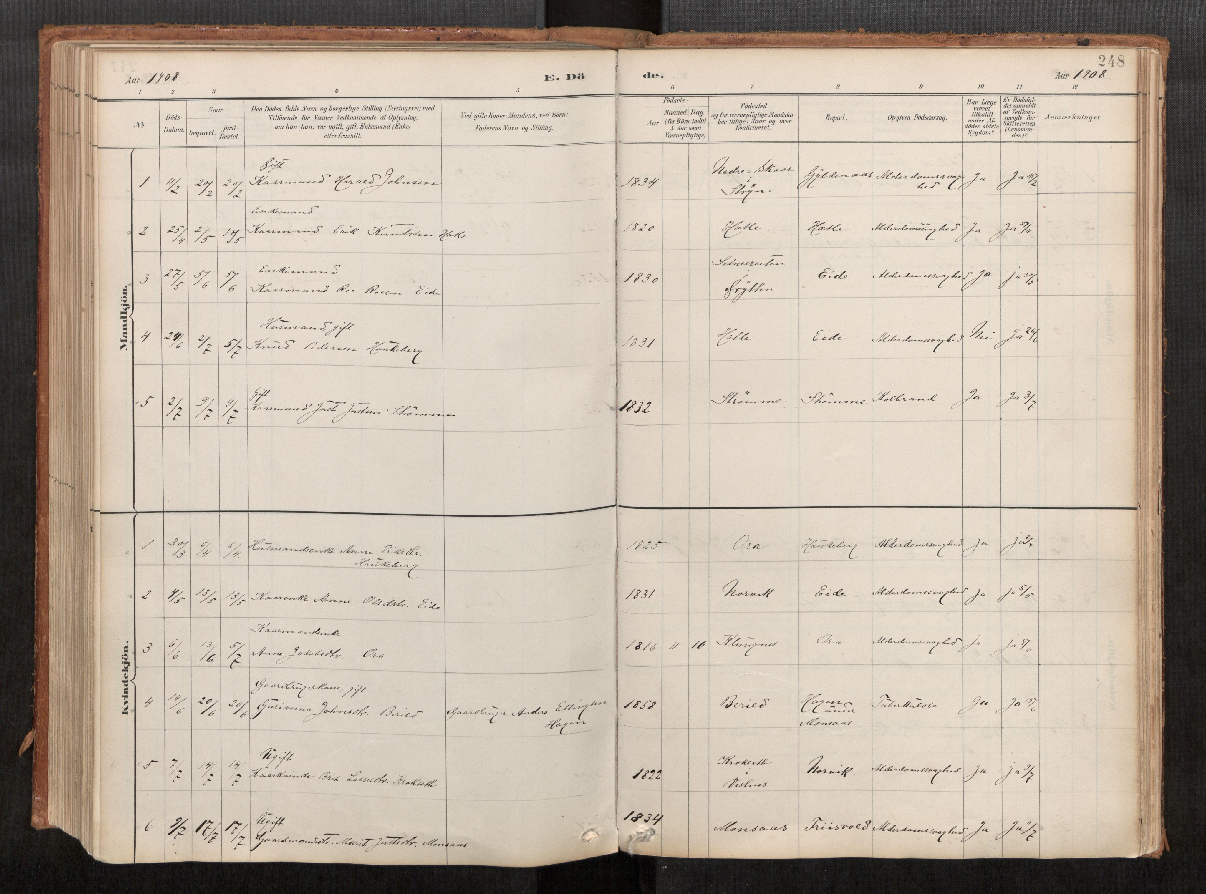 Ministerialprotokoller, klokkerbøker og fødselsregistre - Møre og Romsdal, AV/SAT-A-1454/542/L0553: Ministerialbok nr. 542A03, 1885-1925, s. 248