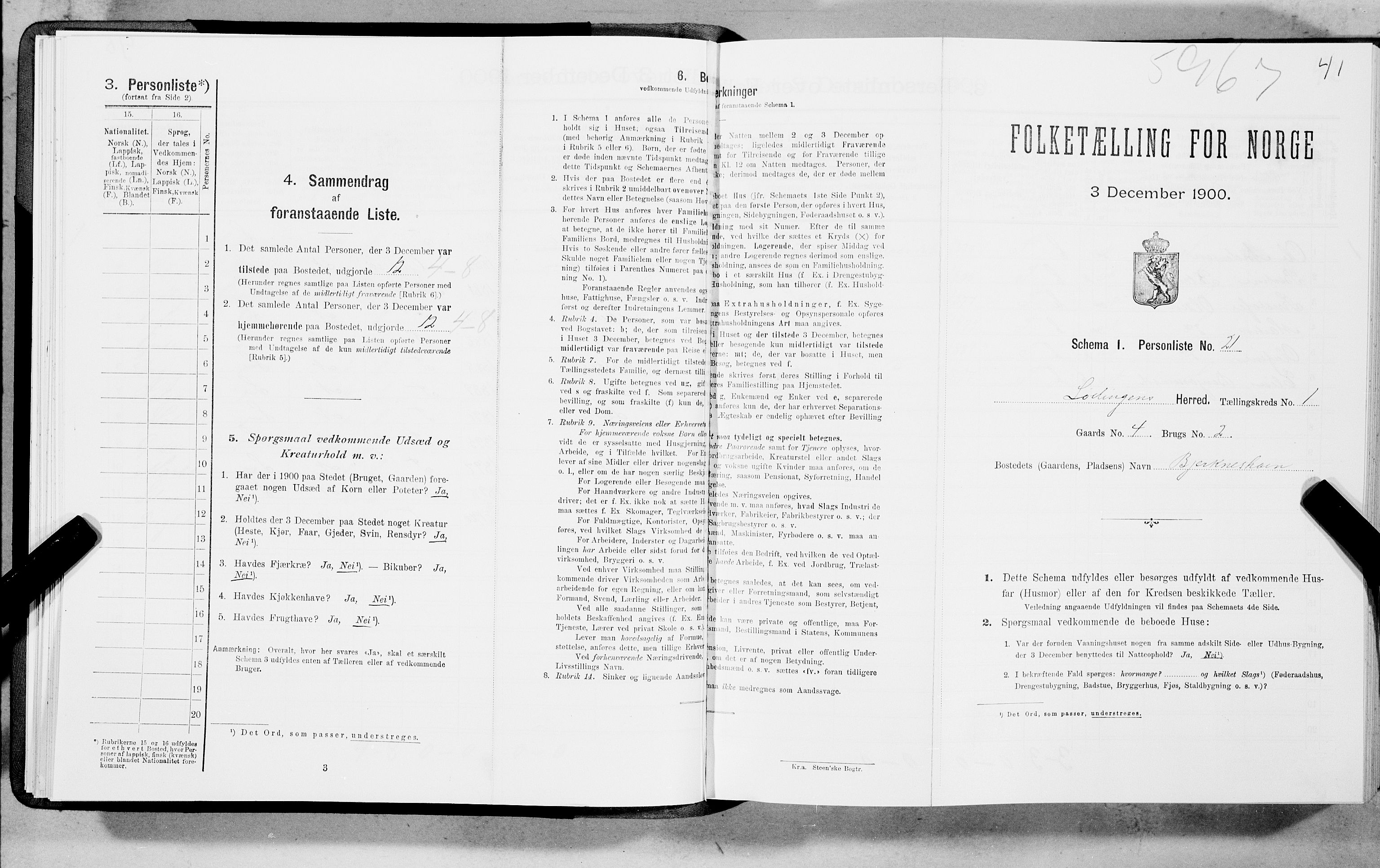 SAT, Folketelling 1900 for 1851 Lødingen herred, 1900, s. 41