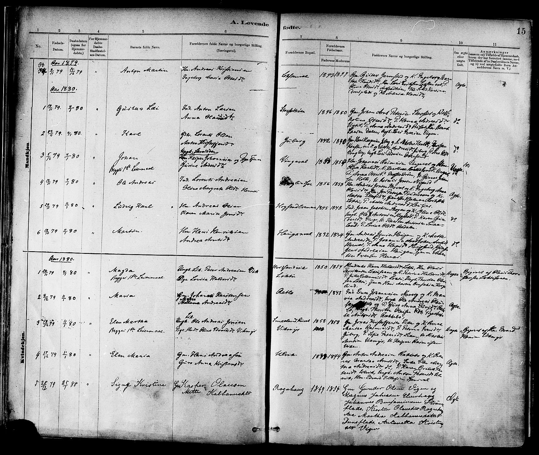 Ministerialprotokoller, klokkerbøker og fødselsregistre - Nord-Trøndelag, SAT/A-1458/713/L0120: Ministerialbok nr. 713A09, 1878-1887, s. 15