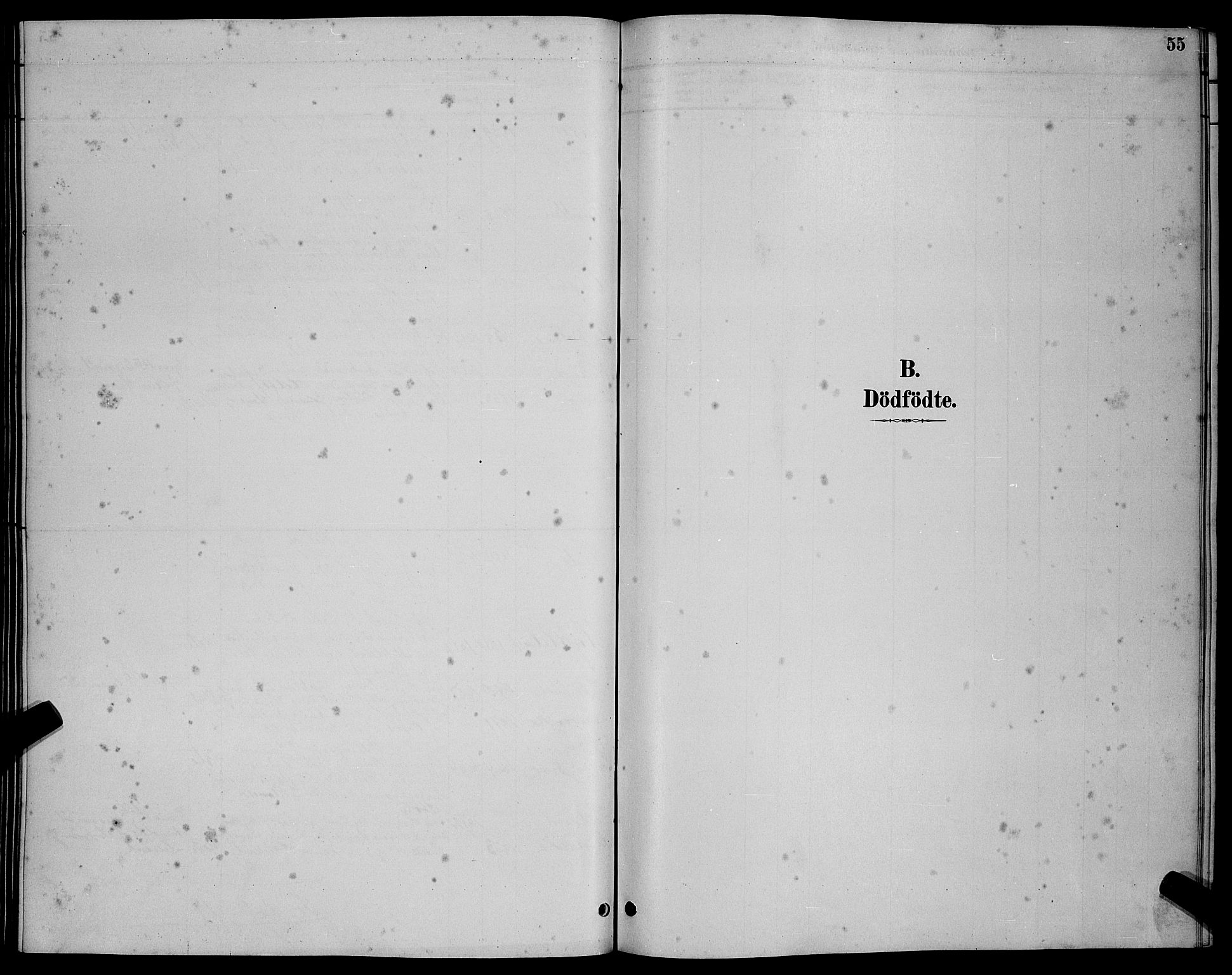 Ministerialprotokoller, klokkerbøker og fødselsregistre - Møre og Romsdal, AV/SAT-A-1454/503/L0048: Klokkerbok nr. 503C03, 1885-1893, s. 55