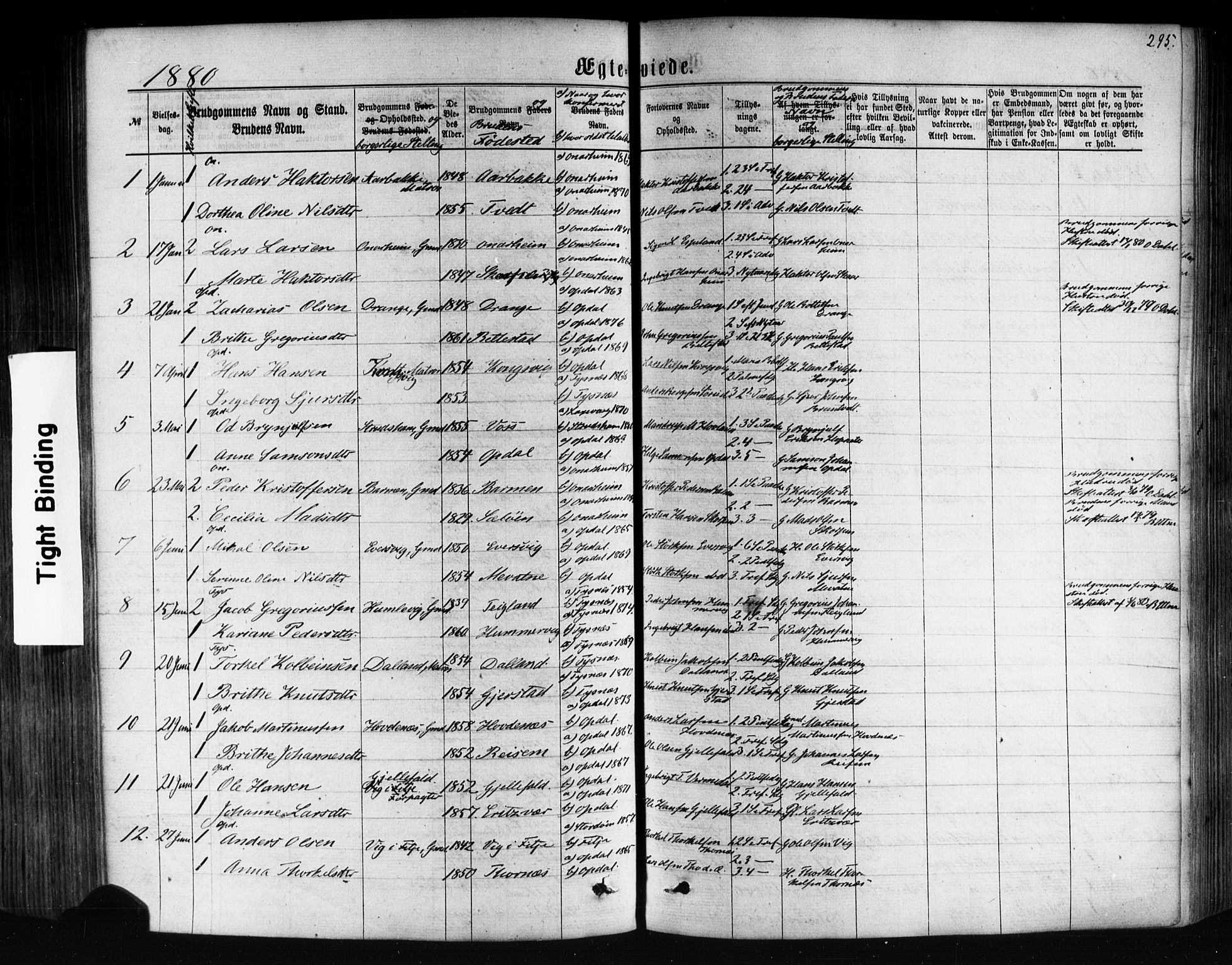 Tysnes sokneprestembete, AV/SAB-A-78601/H/Haa: Ministerialbok nr. A 12, 1872-1886, s. 295