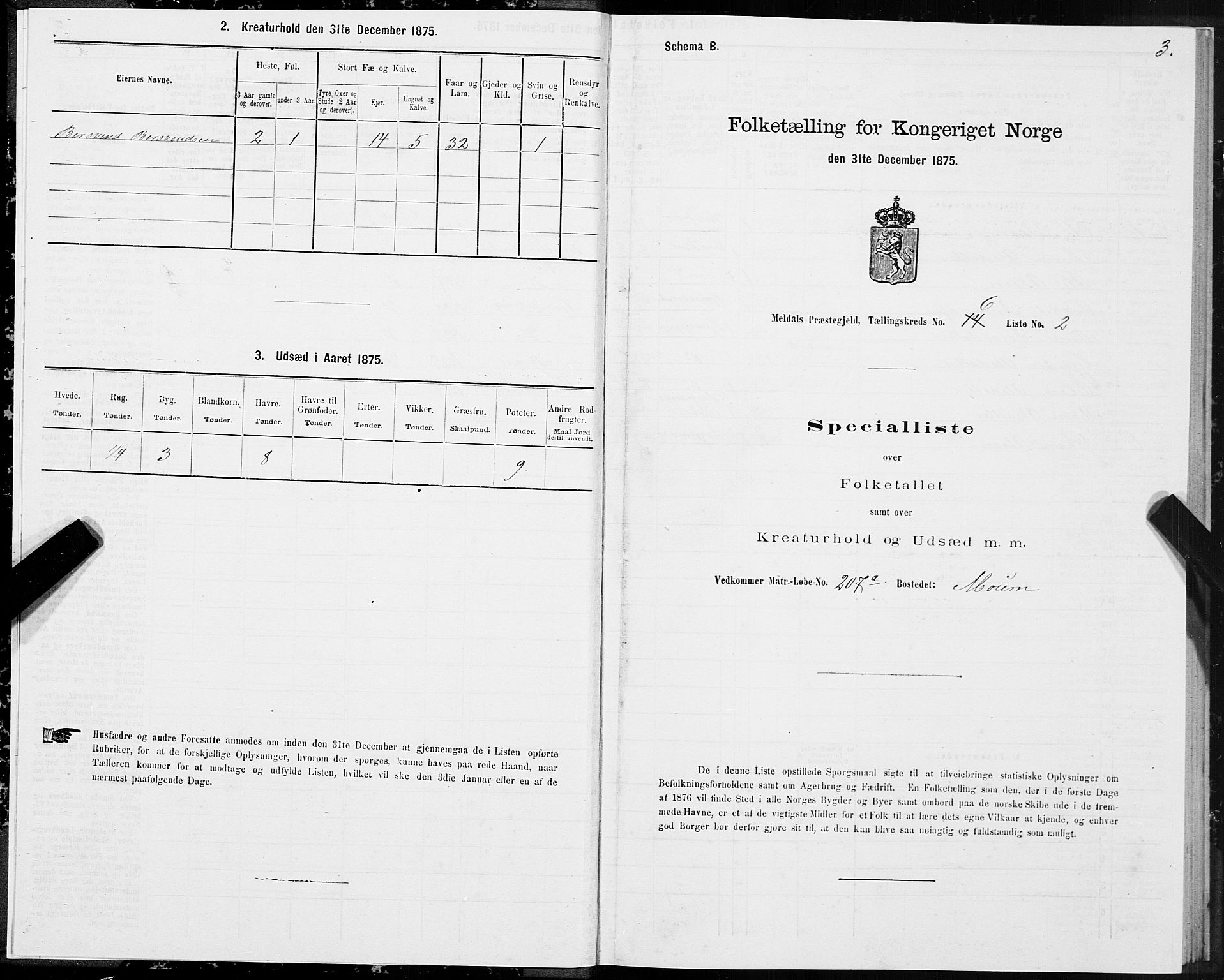 SAT, Folketelling 1875 for 1636P Meldal prestegjeld, 1875, s. 4003