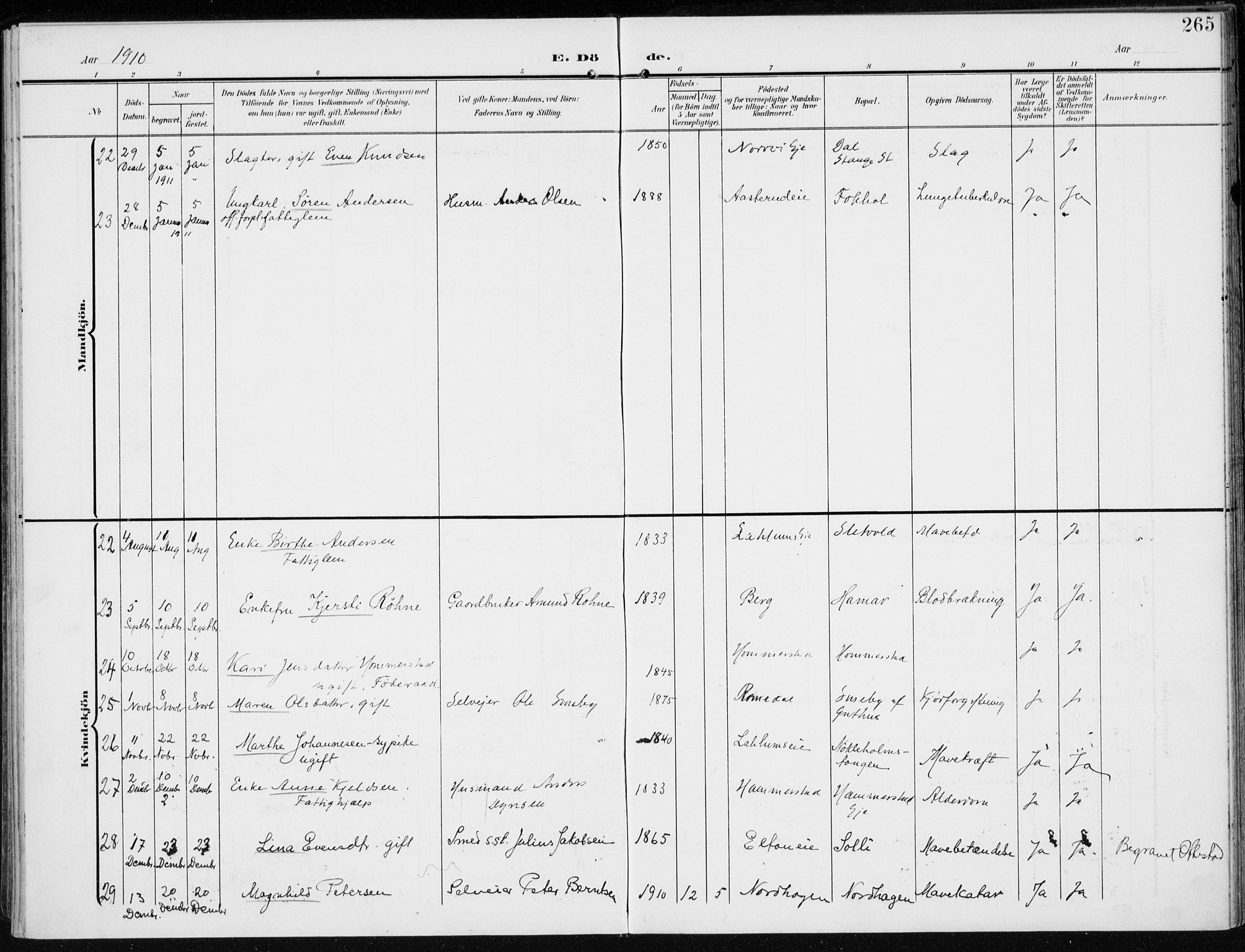 Stange prestekontor, AV/SAH-PREST-002/K/L0024: Ministerialbok nr. 24, 1906-1922, s. 265