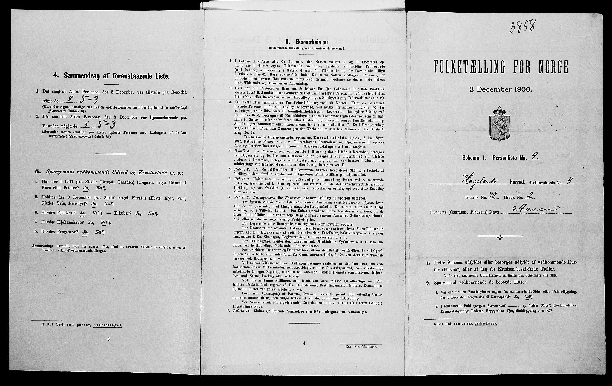 SAK, Folketelling 1900 for 1015 Hægeland herred, 1900, s. 204
