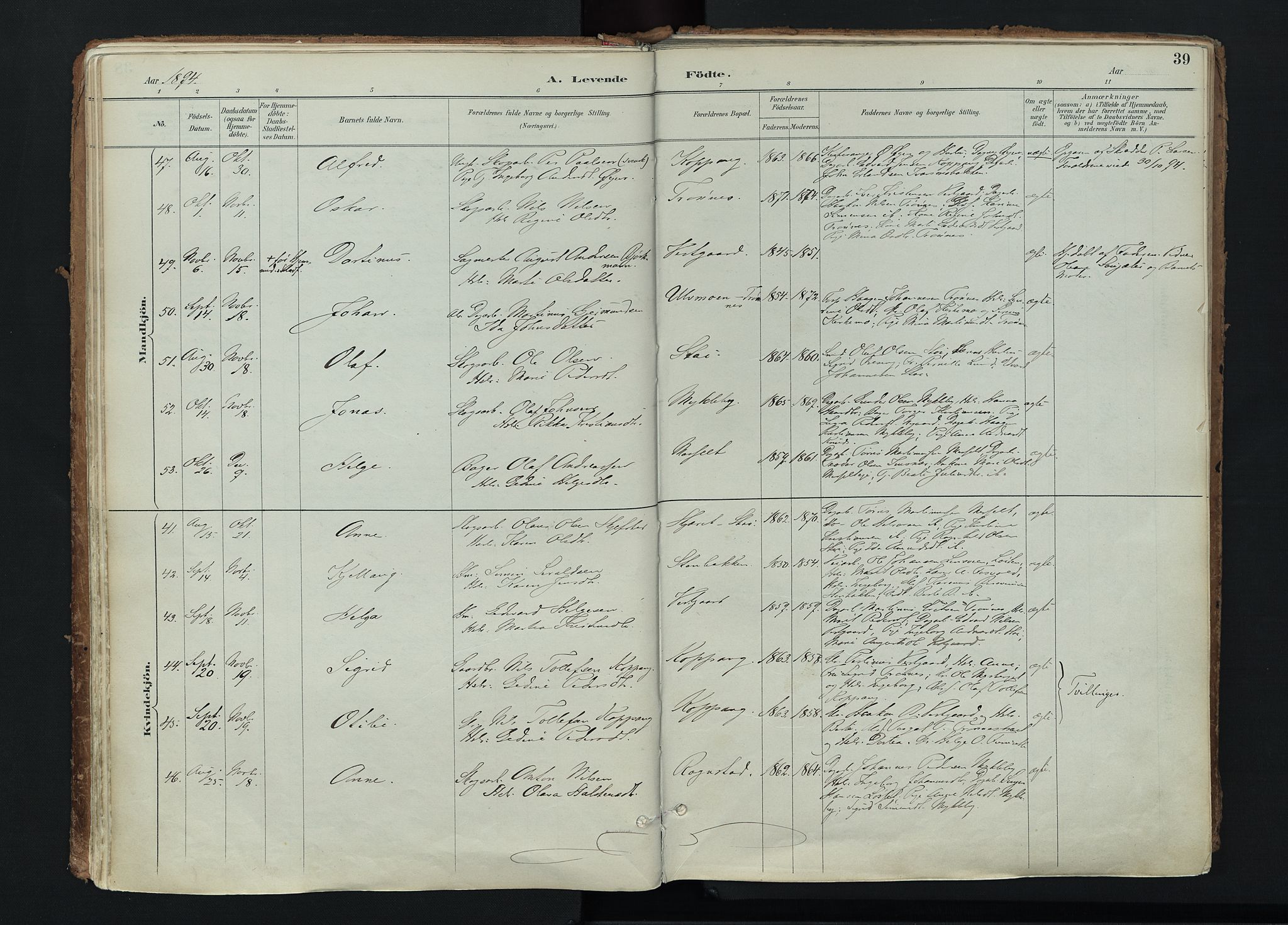 Stor-Elvdal prestekontor, AV/SAH-PREST-052/H/Ha/Haa/L0004: Ministerialbok nr. 4, 1890-1922, s. 39