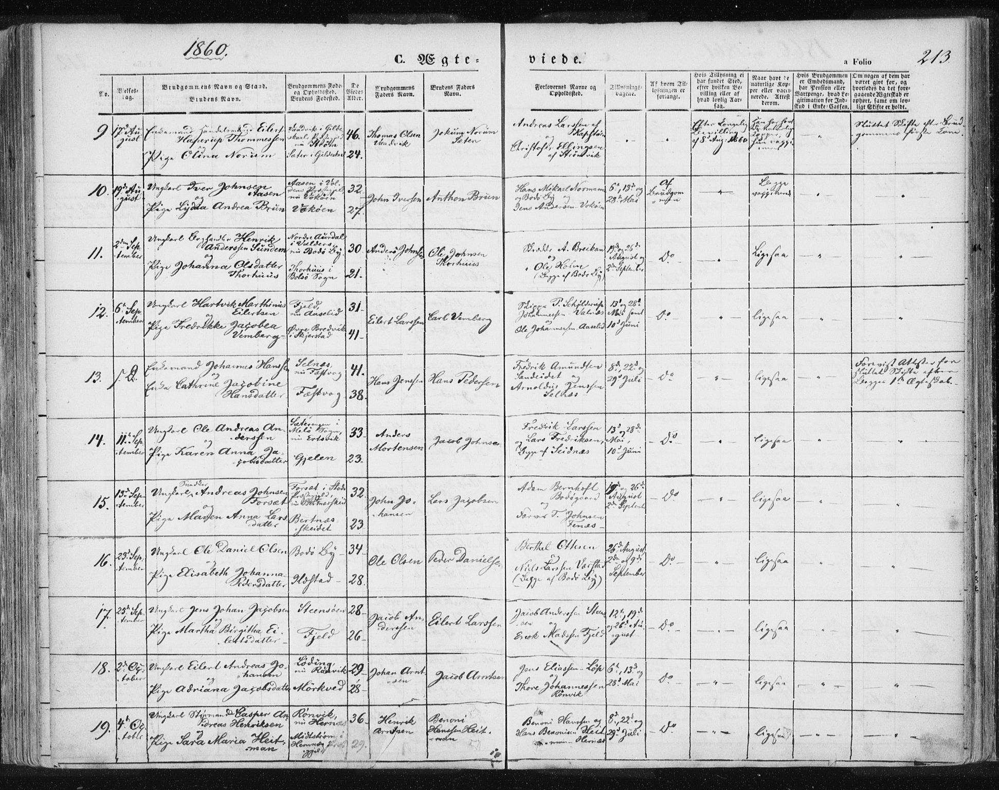 Ministerialprotokoller, klokkerbøker og fødselsregistre - Nordland, AV/SAT-A-1459/801/L0007: Ministerialbok nr. 801A07, 1845-1863, s. 213