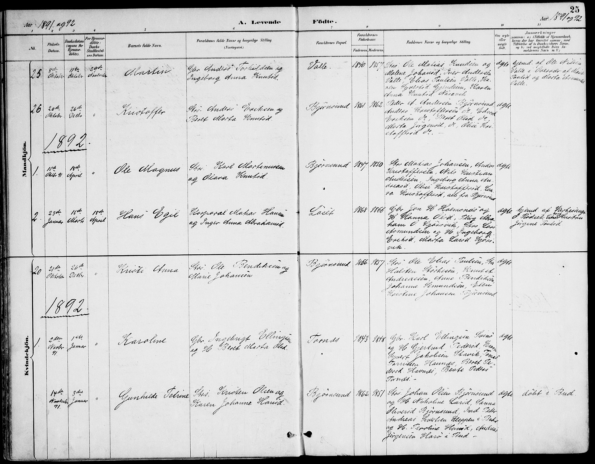 Ministerialprotokoller, klokkerbøker og fødselsregistre - Møre og Romsdal, SAT/A-1454/565/L0750: Ministerialbok nr. 565A04, 1887-1905, s. 25