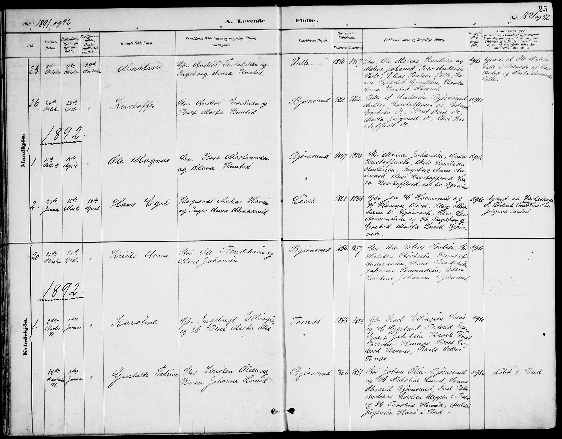 Ministerialprotokoller, klokkerbøker og fødselsregistre - Møre og Romsdal, AV/SAT-A-1454/565/L0750: Ministerialbok nr. 565A04, 1887-1905, s. 25