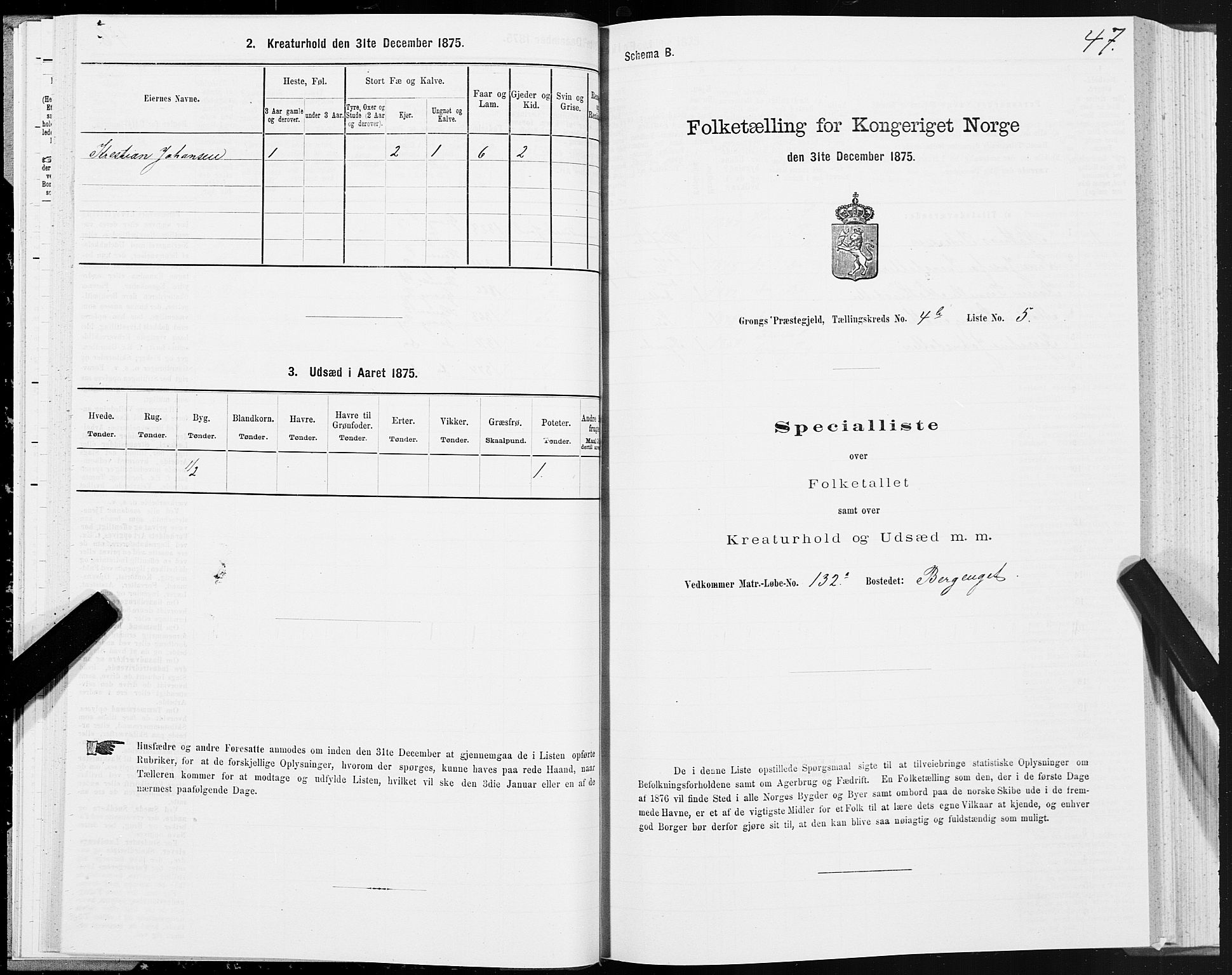 SAT, Folketelling 1875 for 1742P Grong prestegjeld, 1875, s. 3047