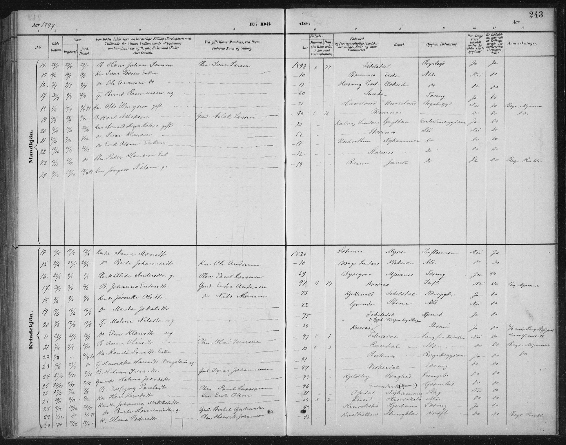 Gulen sokneprestembete, SAB/A-80201/H/Hab/Habb/L0003: Klokkerbok nr. B 3, 1884-1907, s. 243