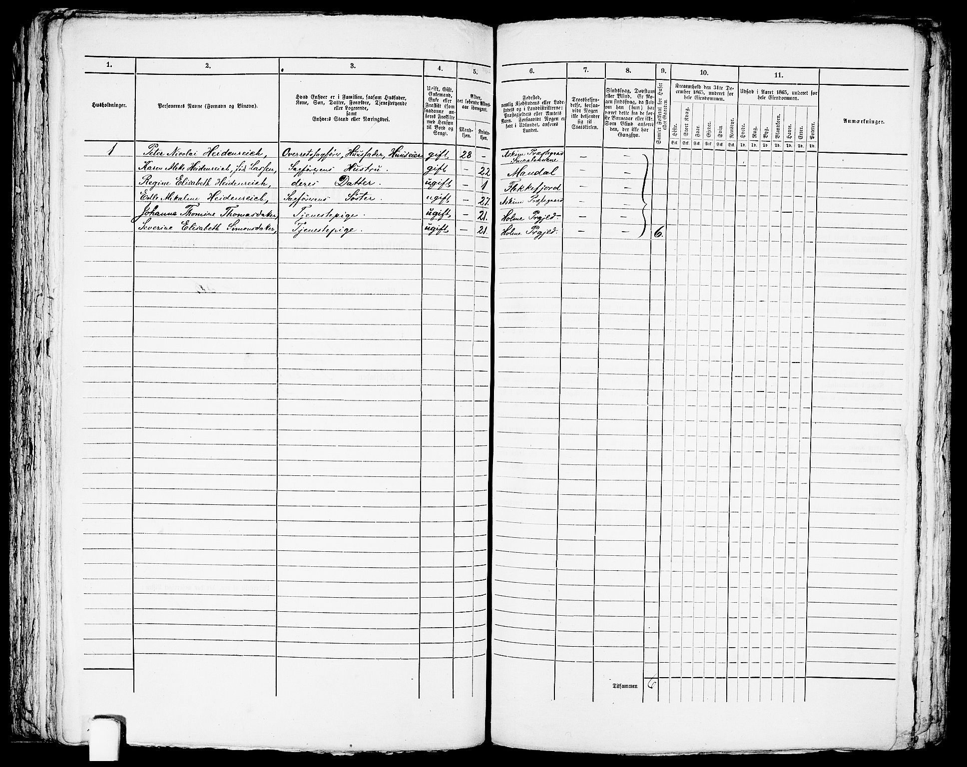 RA, Folketelling 1865 for 1004B Flekkefjord prestegjeld, Flekkefjord kjøpstad, 1865, s. 217