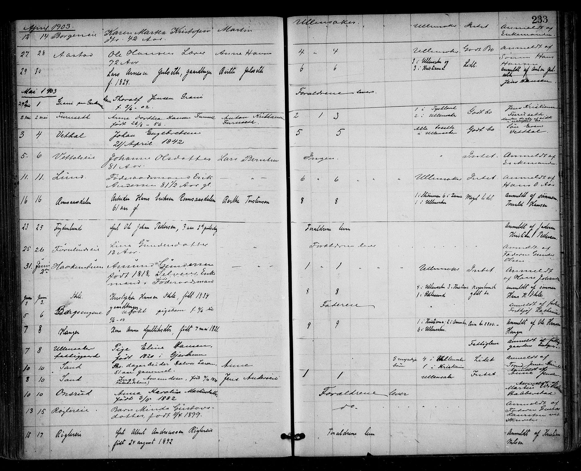 Nes tingrett, AV/SAO-A-10548/H/Ha/Haa/L0001: Dødsfallsprotokoll, 1876-1905, s. 233
