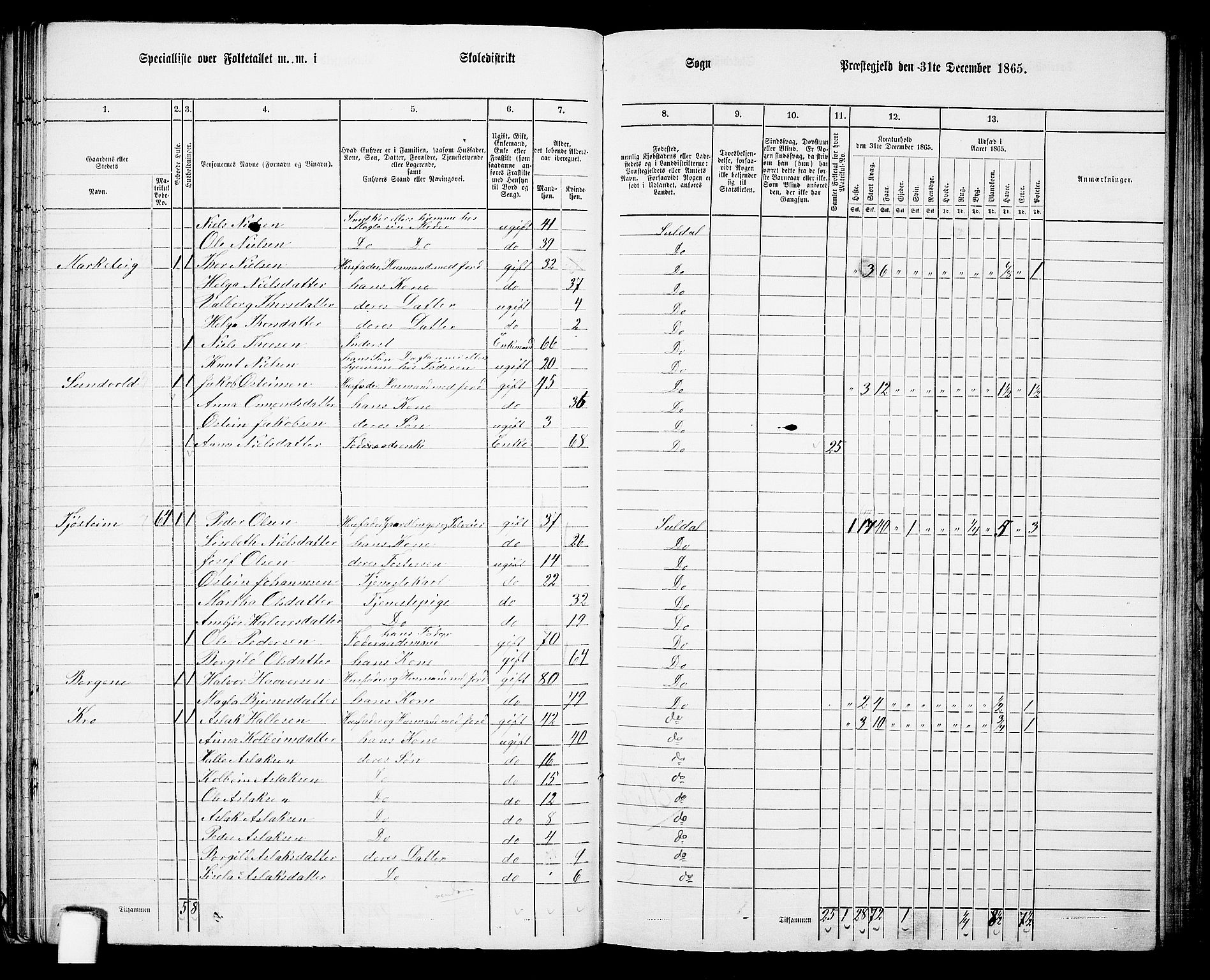 RA, Folketelling 1865 for 1134P Suldal prestegjeld, 1865, s. 49