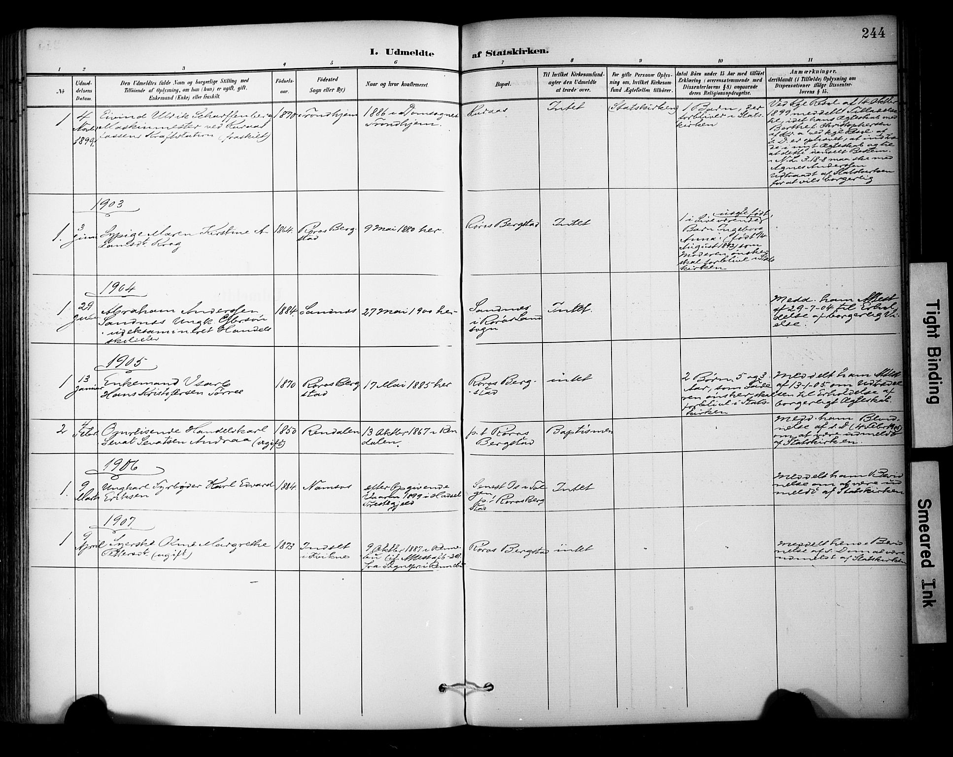 Ministerialprotokoller, klokkerbøker og fødselsregistre - Sør-Trøndelag, SAT/A-1456/681/L0936: Ministerialbok nr. 681A14, 1899-1908, s. 244