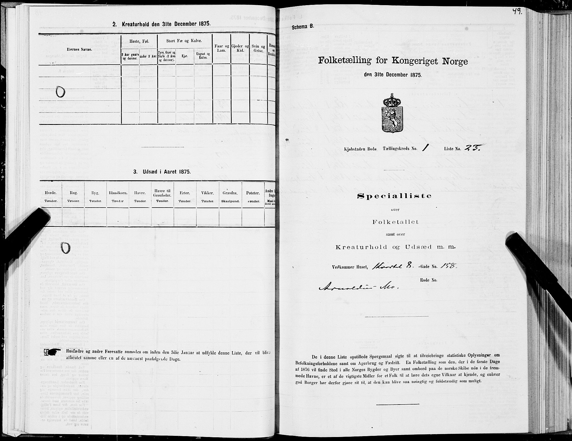 SAT, Folketelling 1875 for 1804B Bodø prestegjeld, Bodø kjøpstad, 1875, s. 49