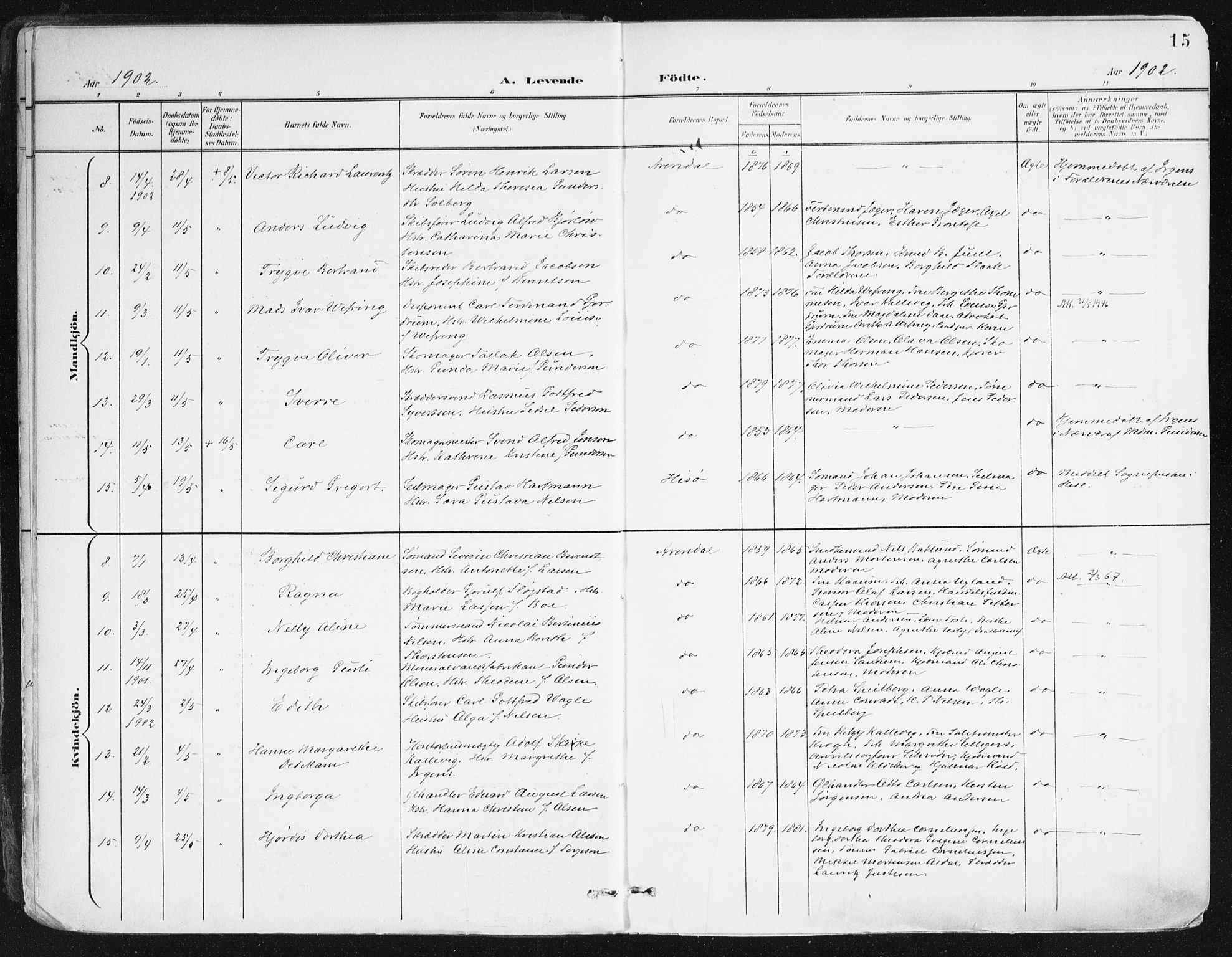 Arendal sokneprestkontor, Trefoldighet, SAK/1111-0040/F/Fa/L0010: Ministerialbok nr. A 10, 1900-1919, s. 15