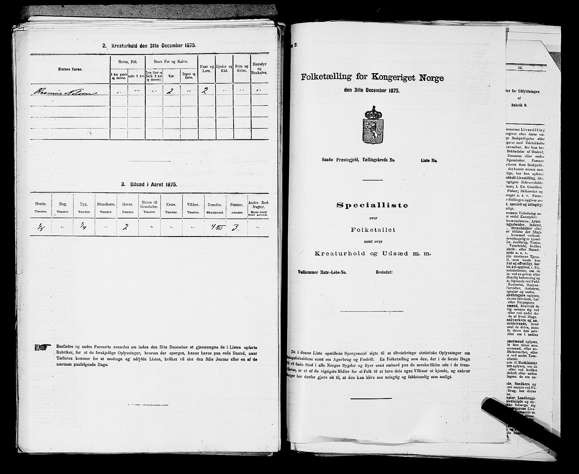 SAKO, Folketelling 1875 for 0726P Brunlanes prestegjeld, 1875, s. 891