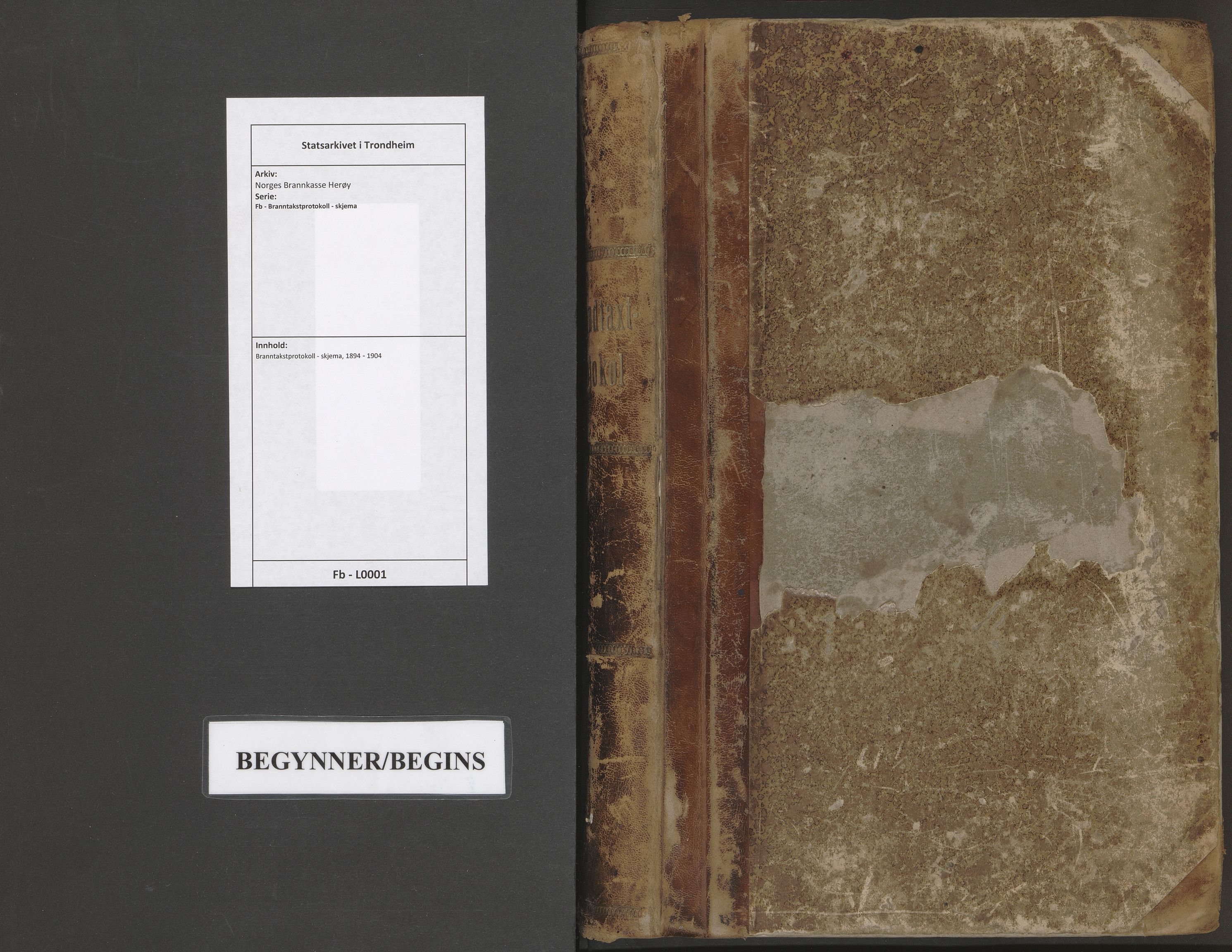 Norges Brannkasse Herøy, AV/SAT-A-5570/Fb/L0001: Branntakstprotokoll - skjema, 1894-1904